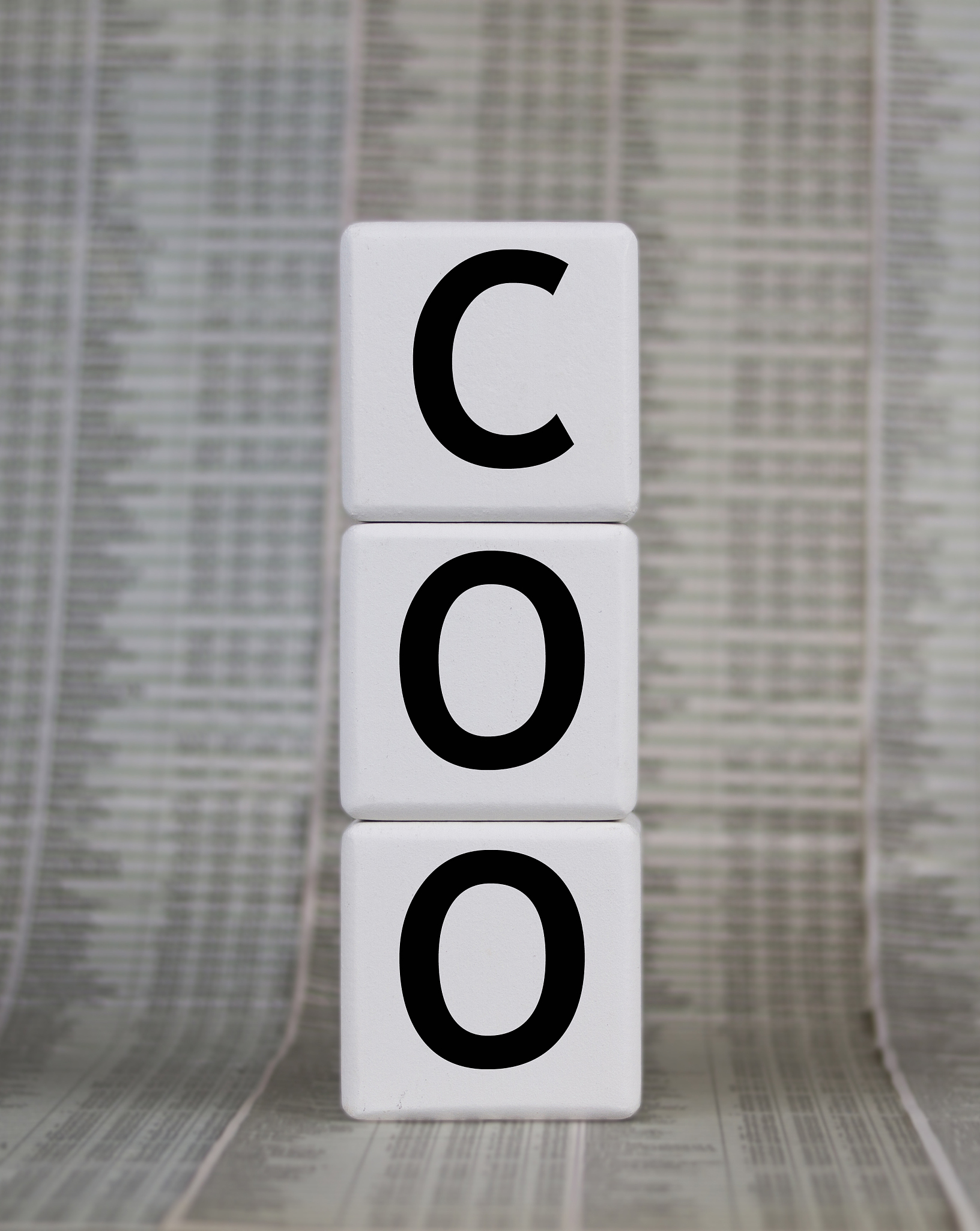 企业管理岗位职责及要求：从人力资源到战略顾问