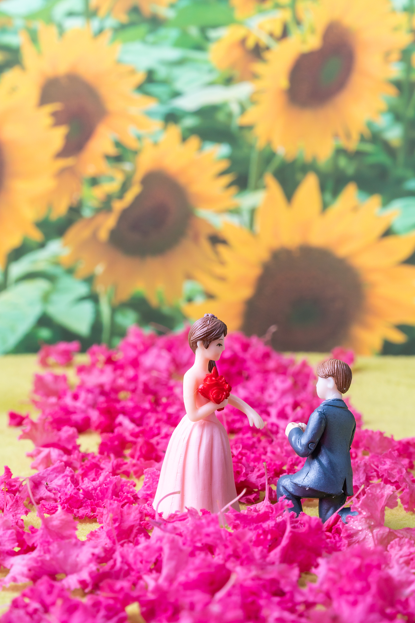 如何让他/她表白：5个技巧助你收获爱情