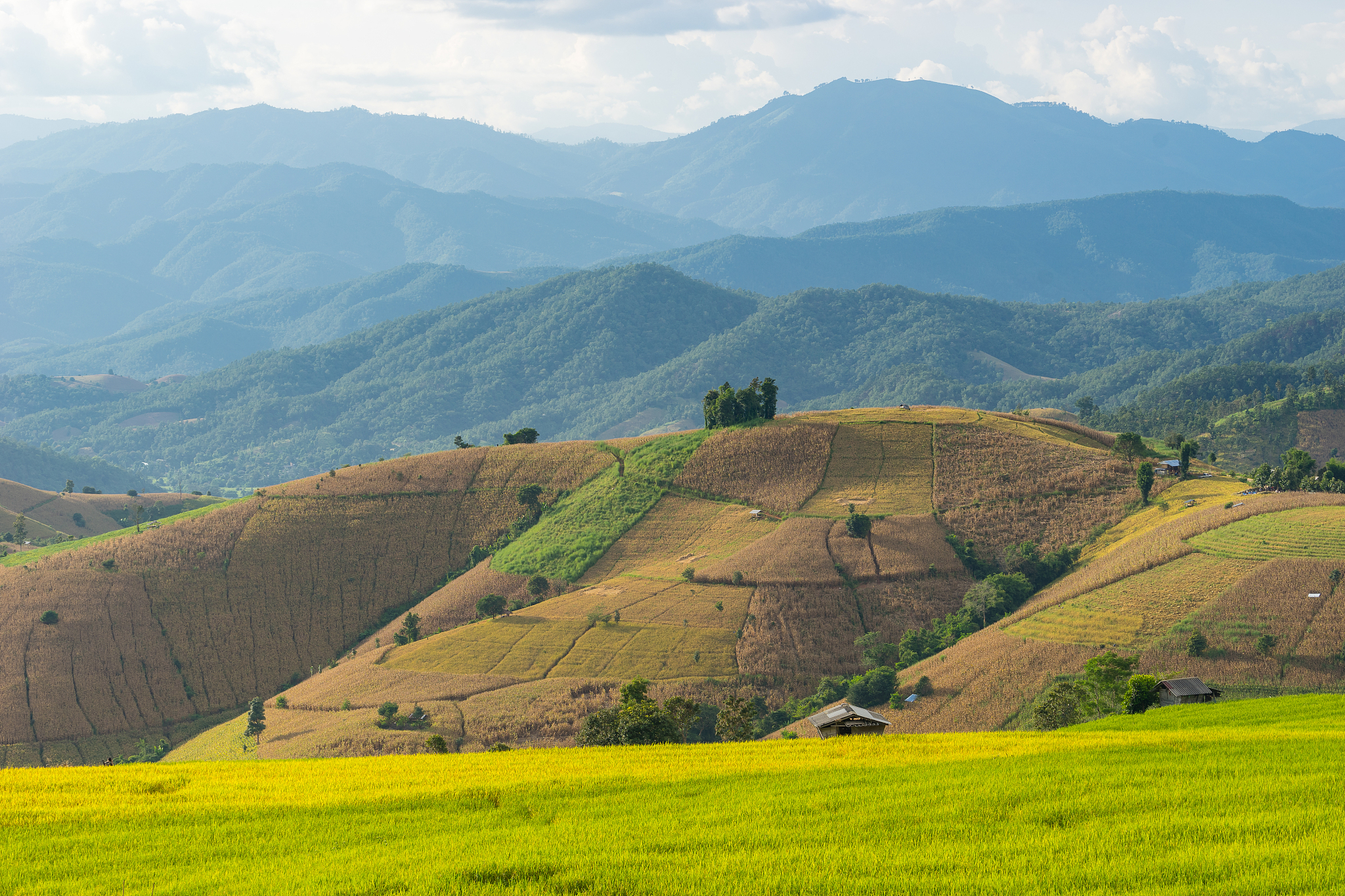chiang mai rice terrace, chiang mai province