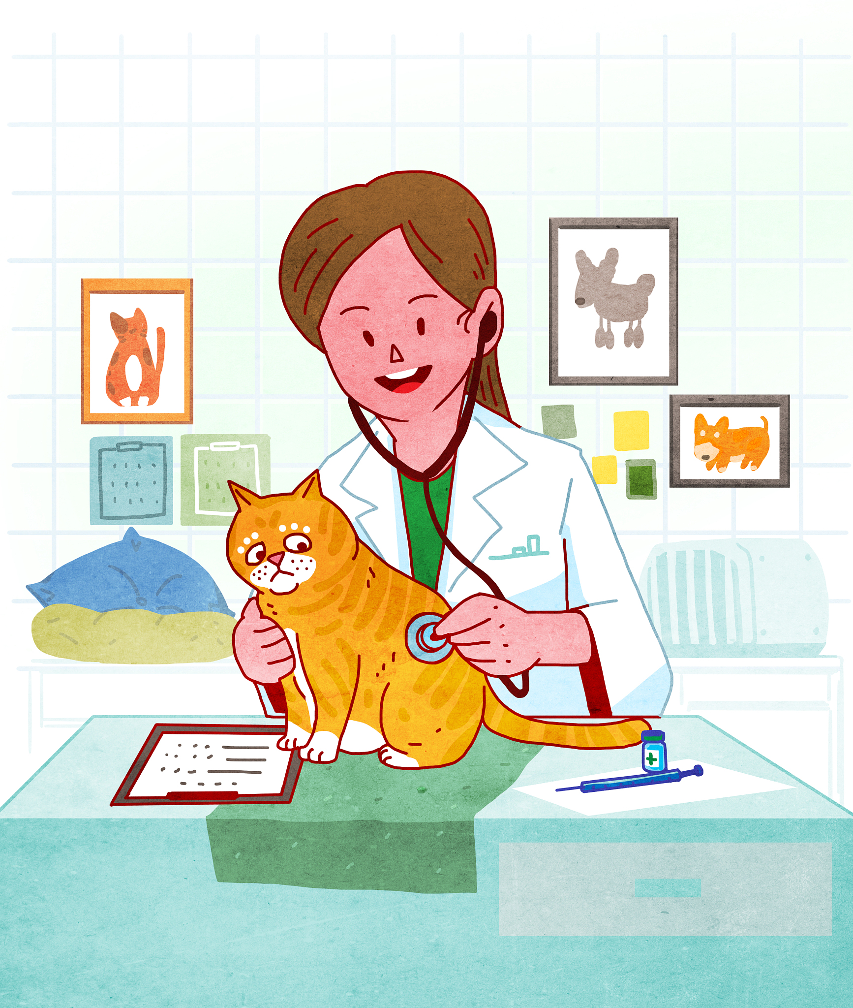 兽医专科课程有哪些？用发散性