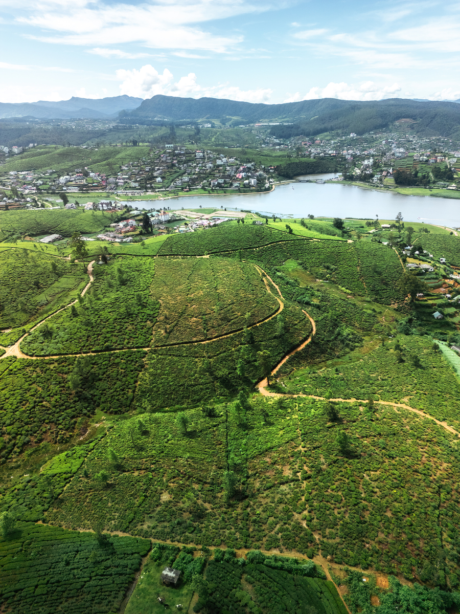 蒙自市张家源：云南省柑橘产区，旅游胜地