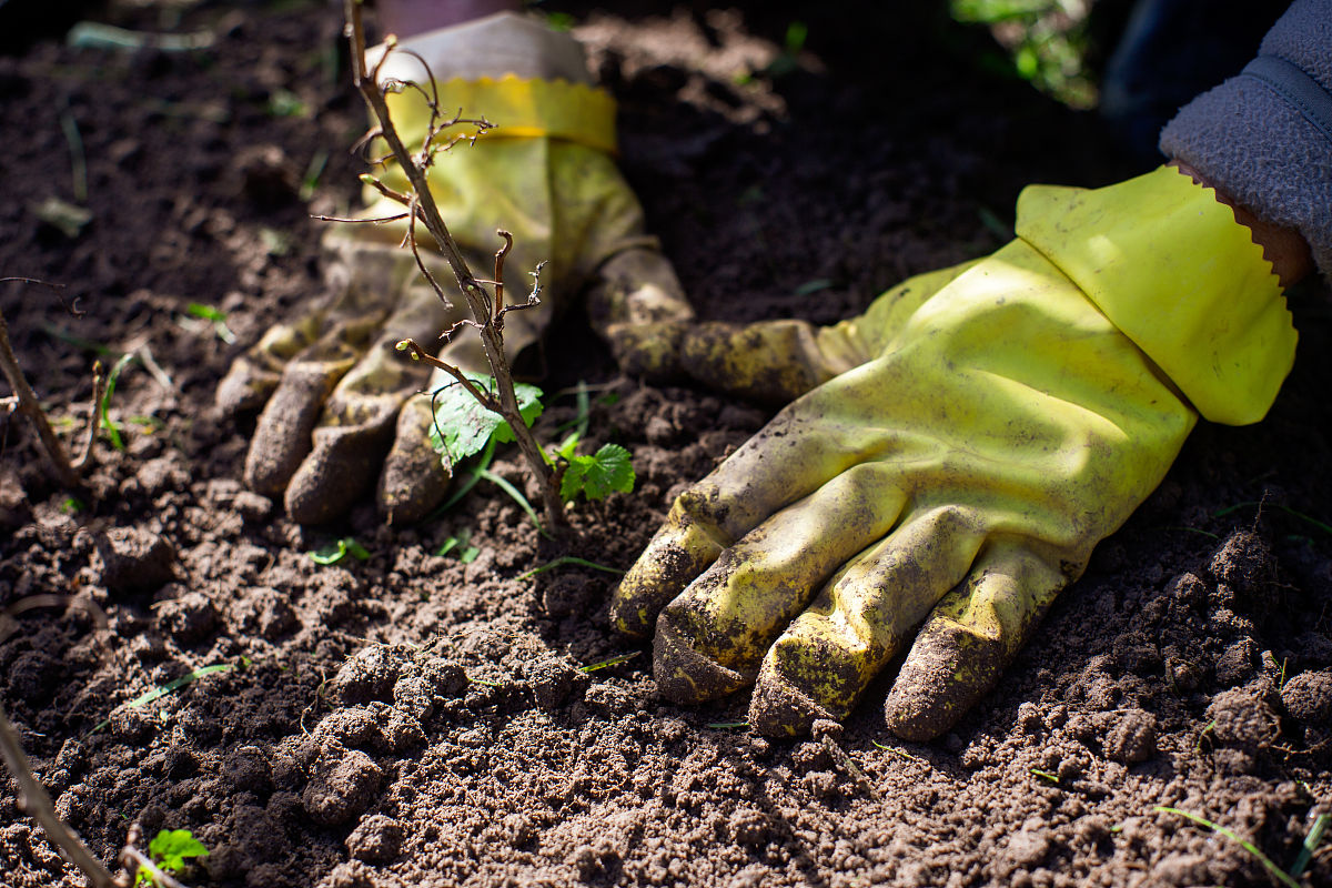 重庆农业机械化学校2022年招生专业及就业前景