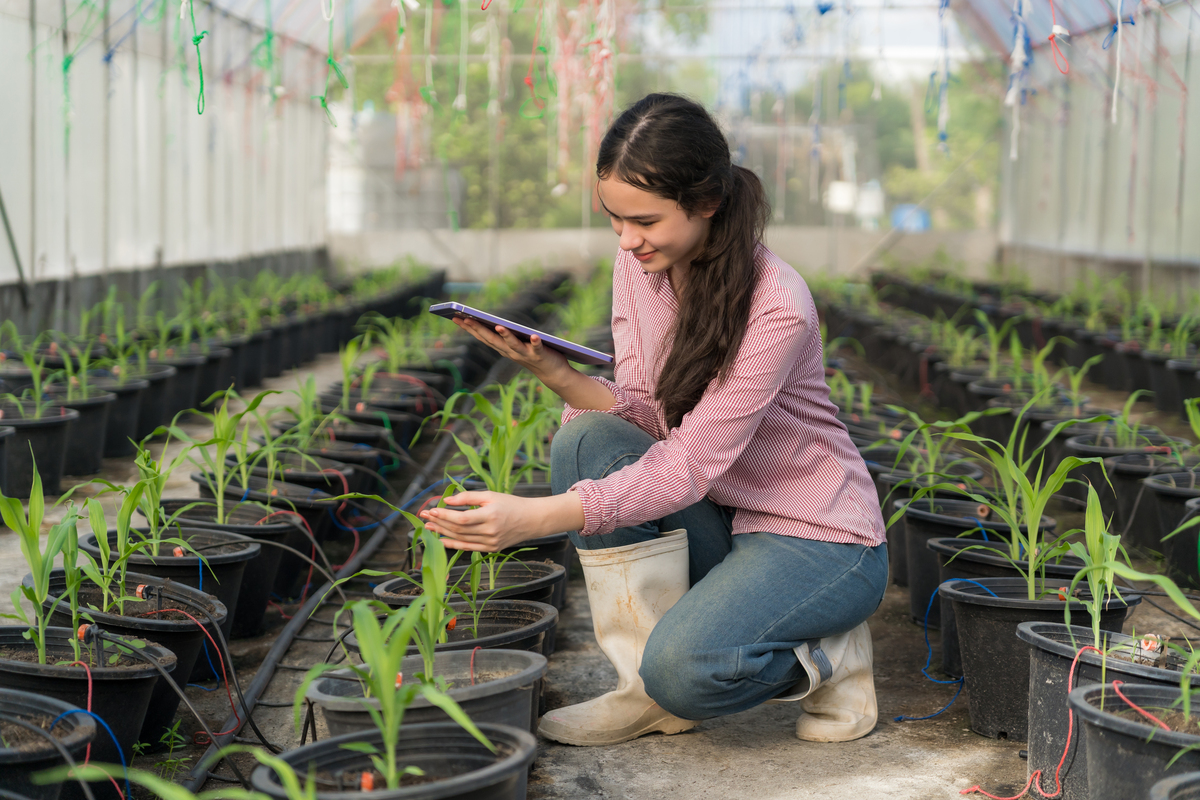 楚雄农业学校：培养农业人才的摇篮
