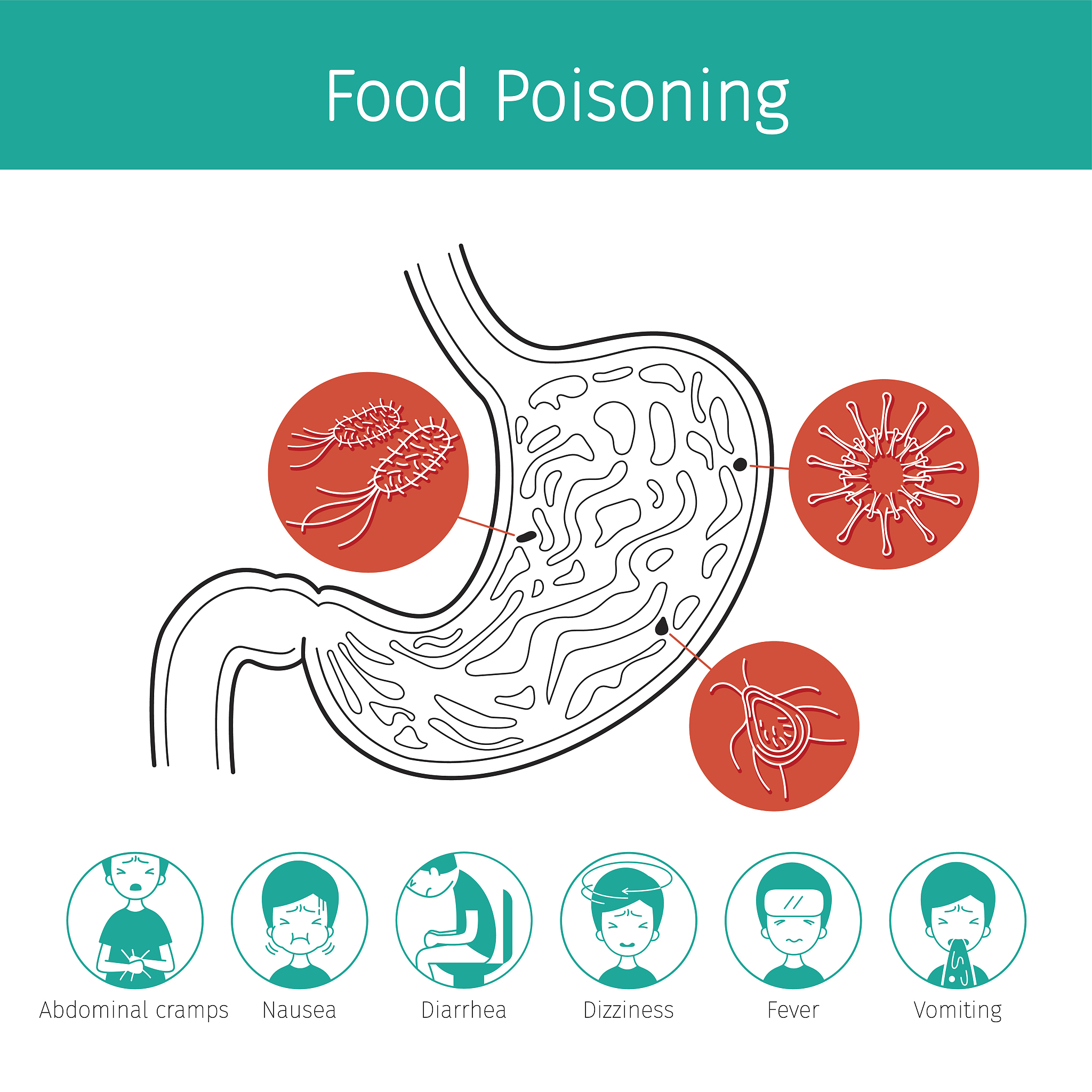 经常拉肚子是什么原因经常拉肚子的原因可能有多种包括：1 食物过敏或食物中毒2 消化道感染例如细菌、病毒或寄生虫感染3 肠胃道疾病例如炎症性肠病、溃疡性结肠炎等4 神经性肠道综合症5 某些药物的副作用6 饮食不卫生或不规律7 消化系统过敏反应8 精神紧张、压力过大等因此若经常出现拉肚子症状应及时就医诊断并采取相应的治疗措施。对胃伤害很大吗