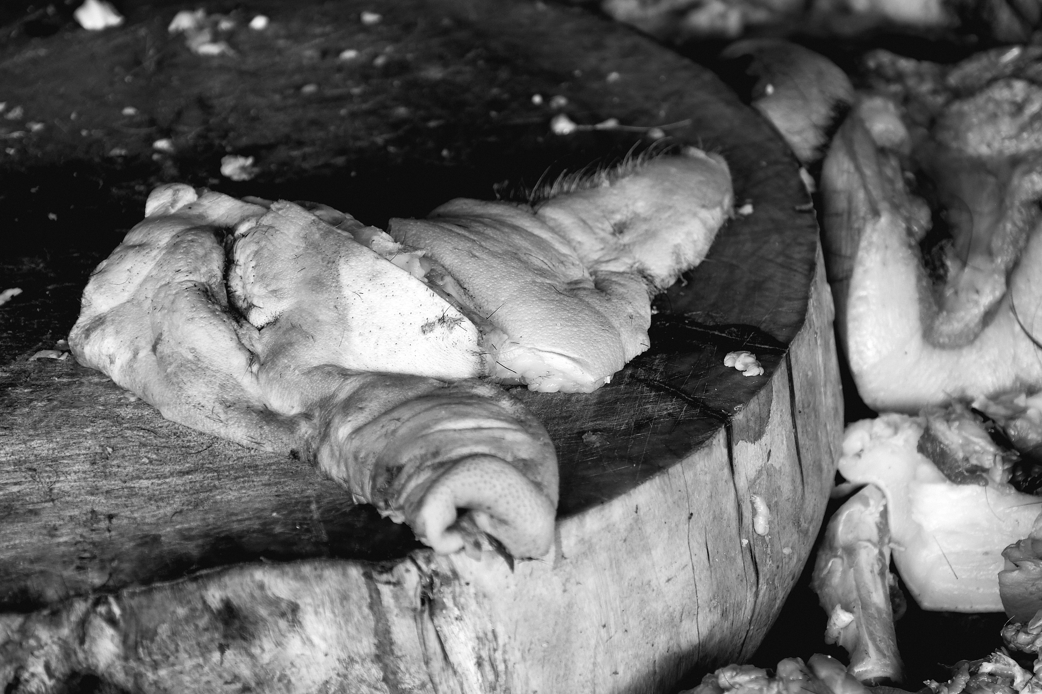 pig face on chopping board at thiri mingalar market