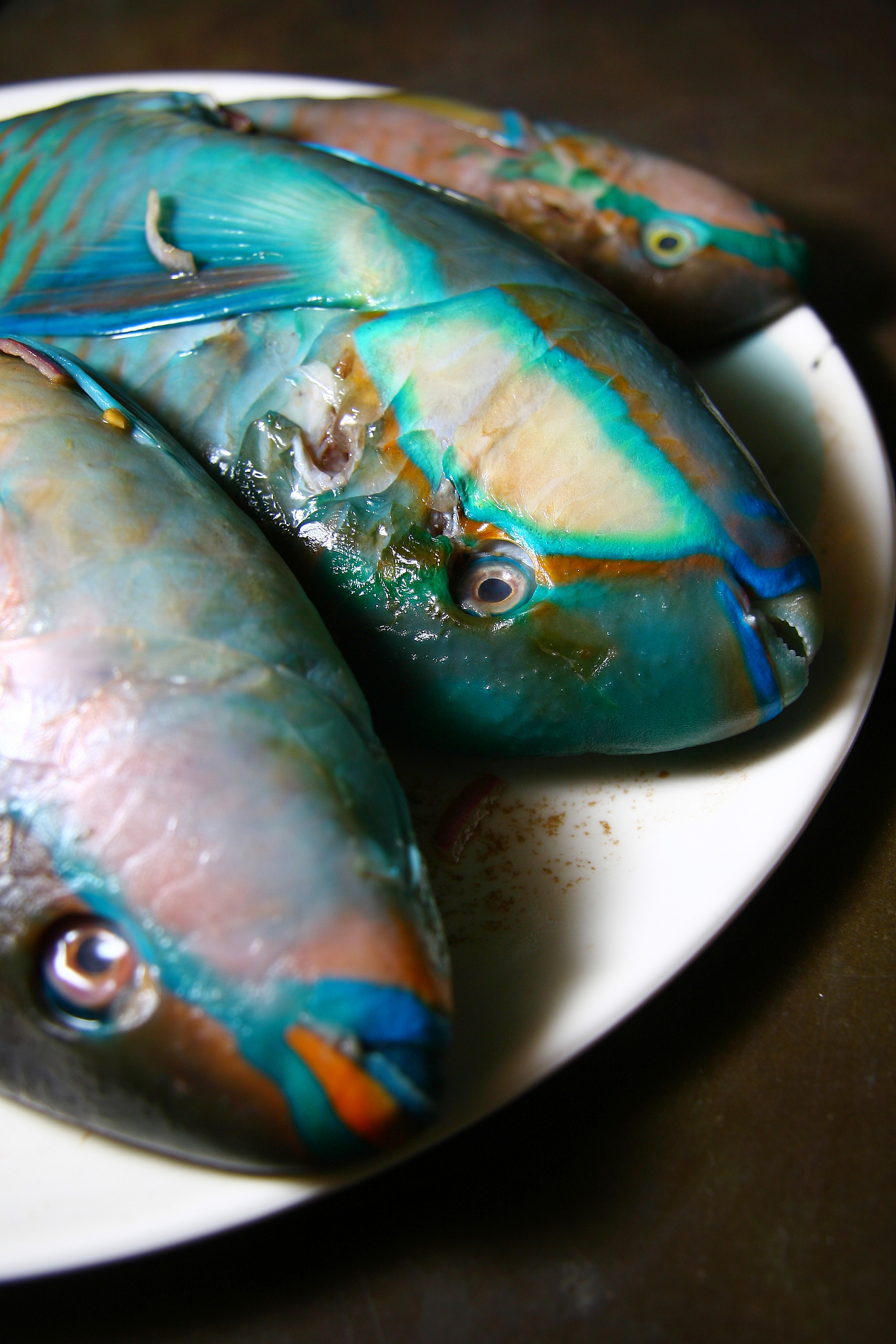 fishes on a plate