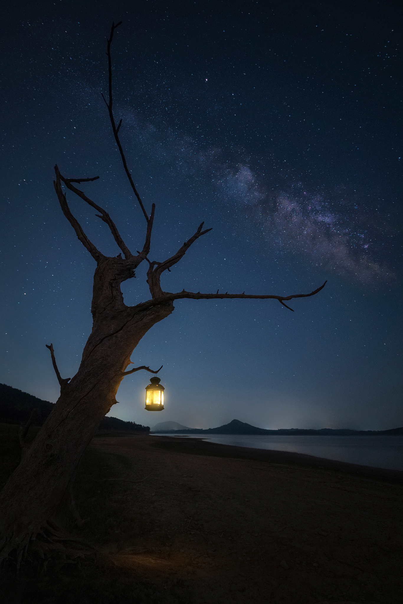夜晚星空下的温暖陪伴：男孩、棒棒糖、小狗和一颗颗闪耀的星星