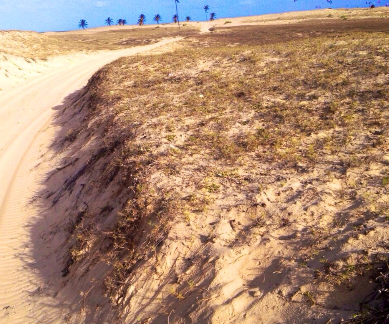 beach in fortaleza.