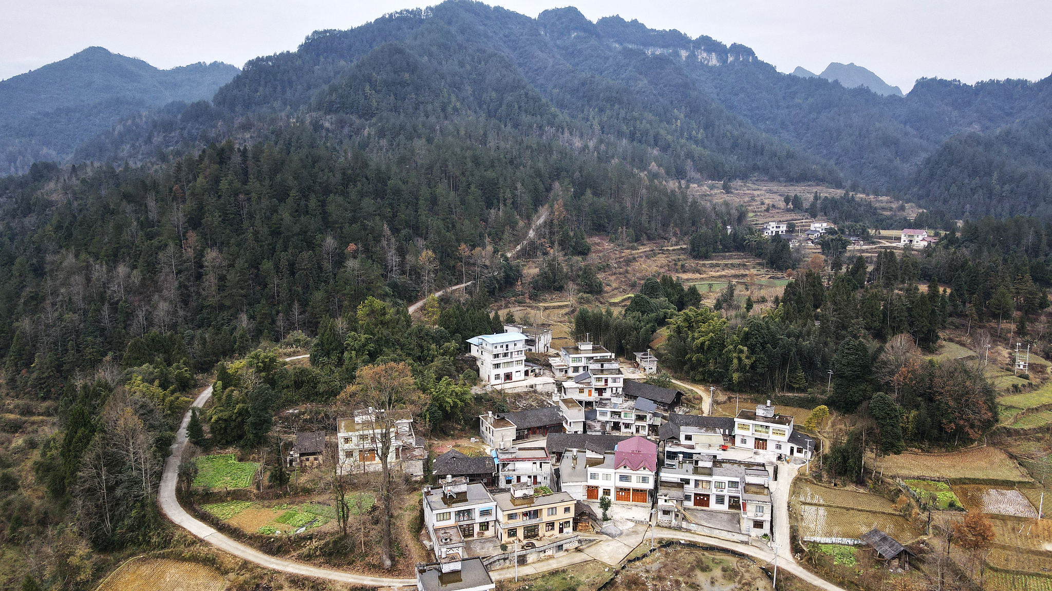 遵义读中专学校读什么专业好