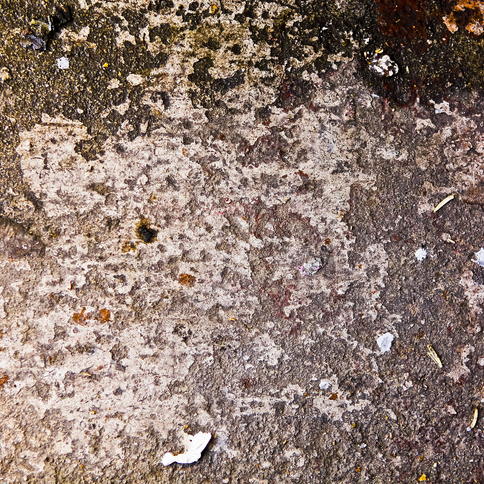 湖北传媒摄影技师学院专业设置及优势介绍