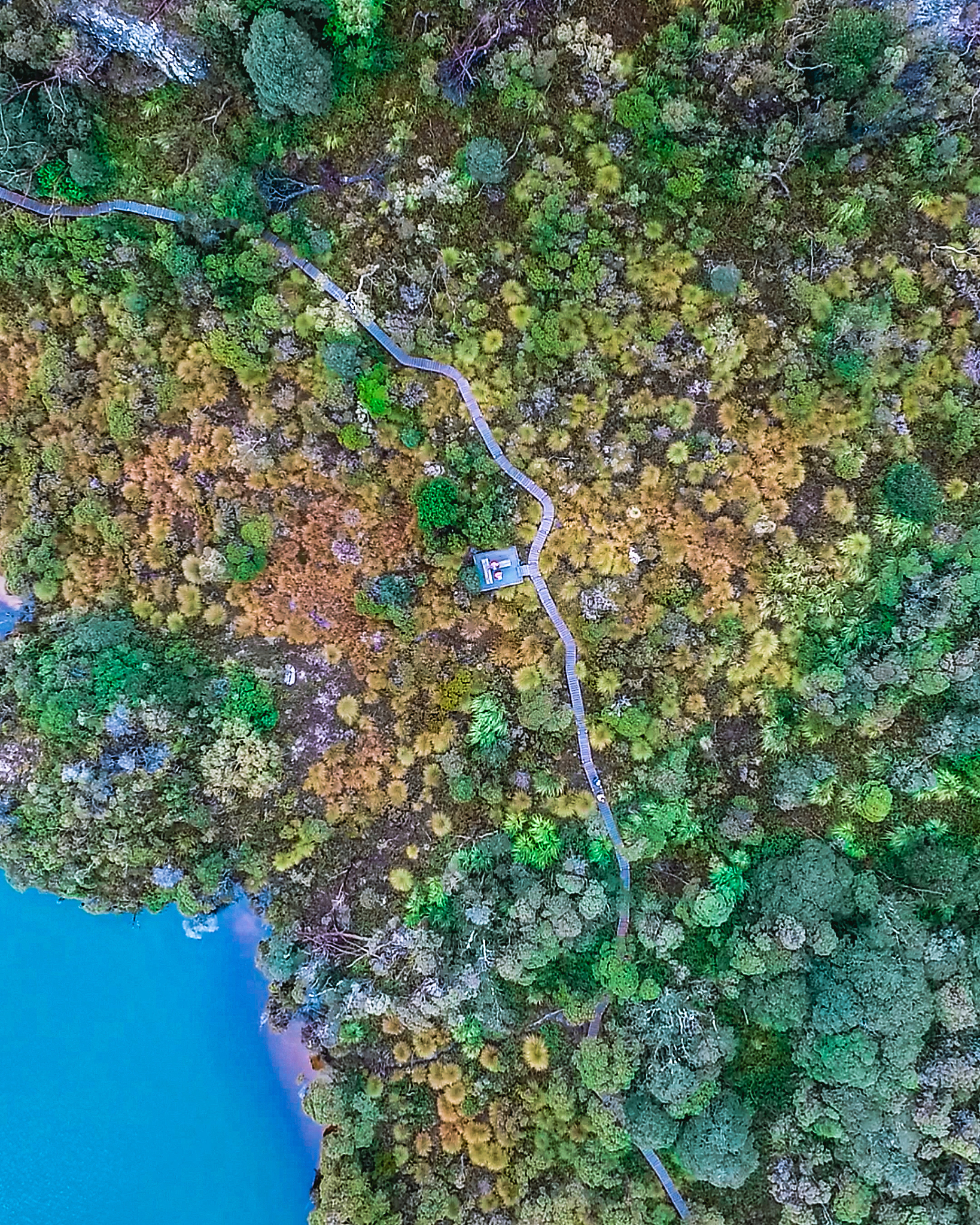 遥感细分辨率森林破碎化对火灾影响在DGVM中是否适用？