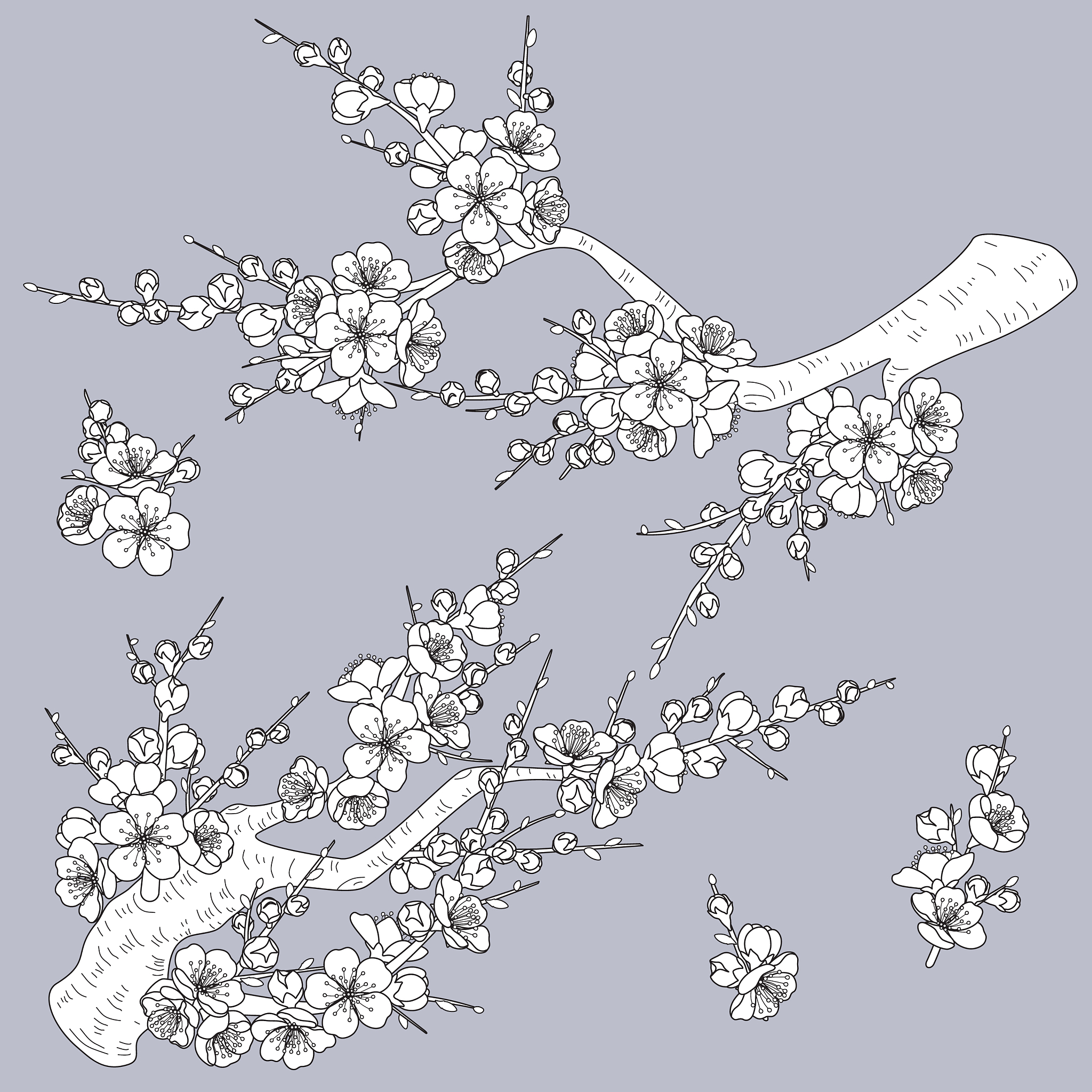 Exploring the Symbolism of the Plum Blossom in Chinese Poetry