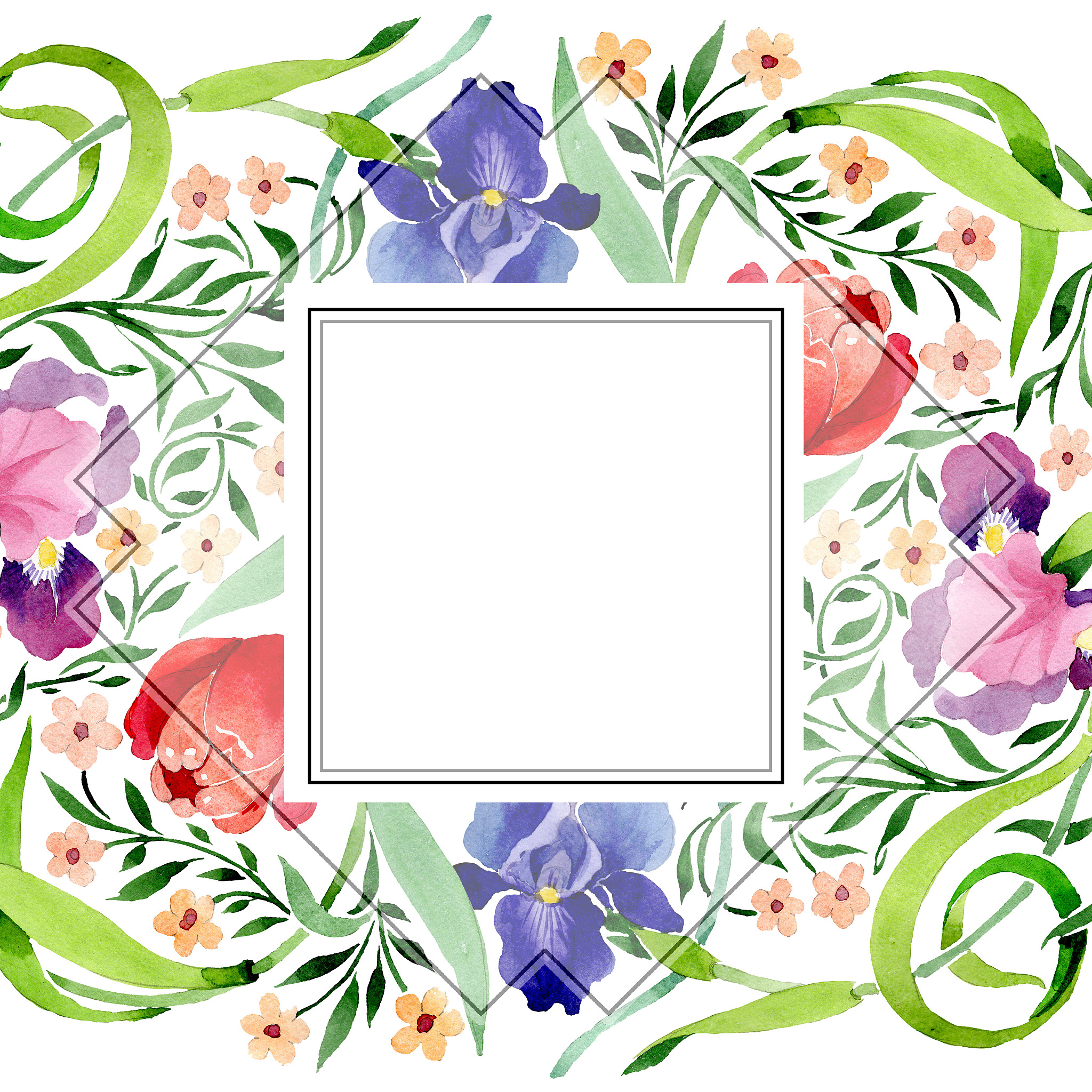 irises and tulips ornament botanical flower. watercolor backgrou