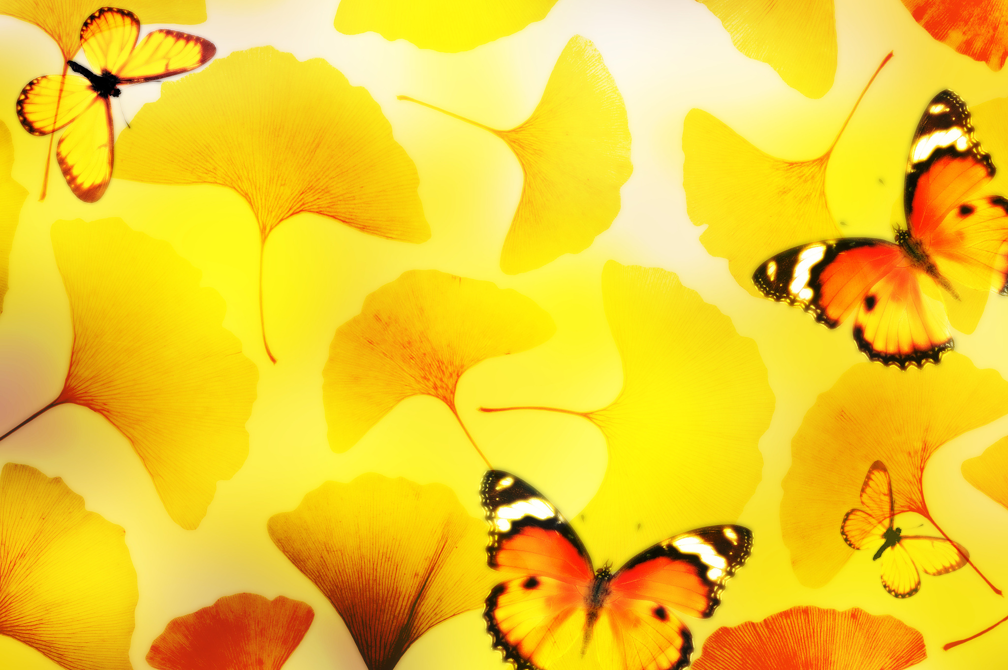 湖北3+2计算机动漫与游戏制作学校有哪些？附学校推荐