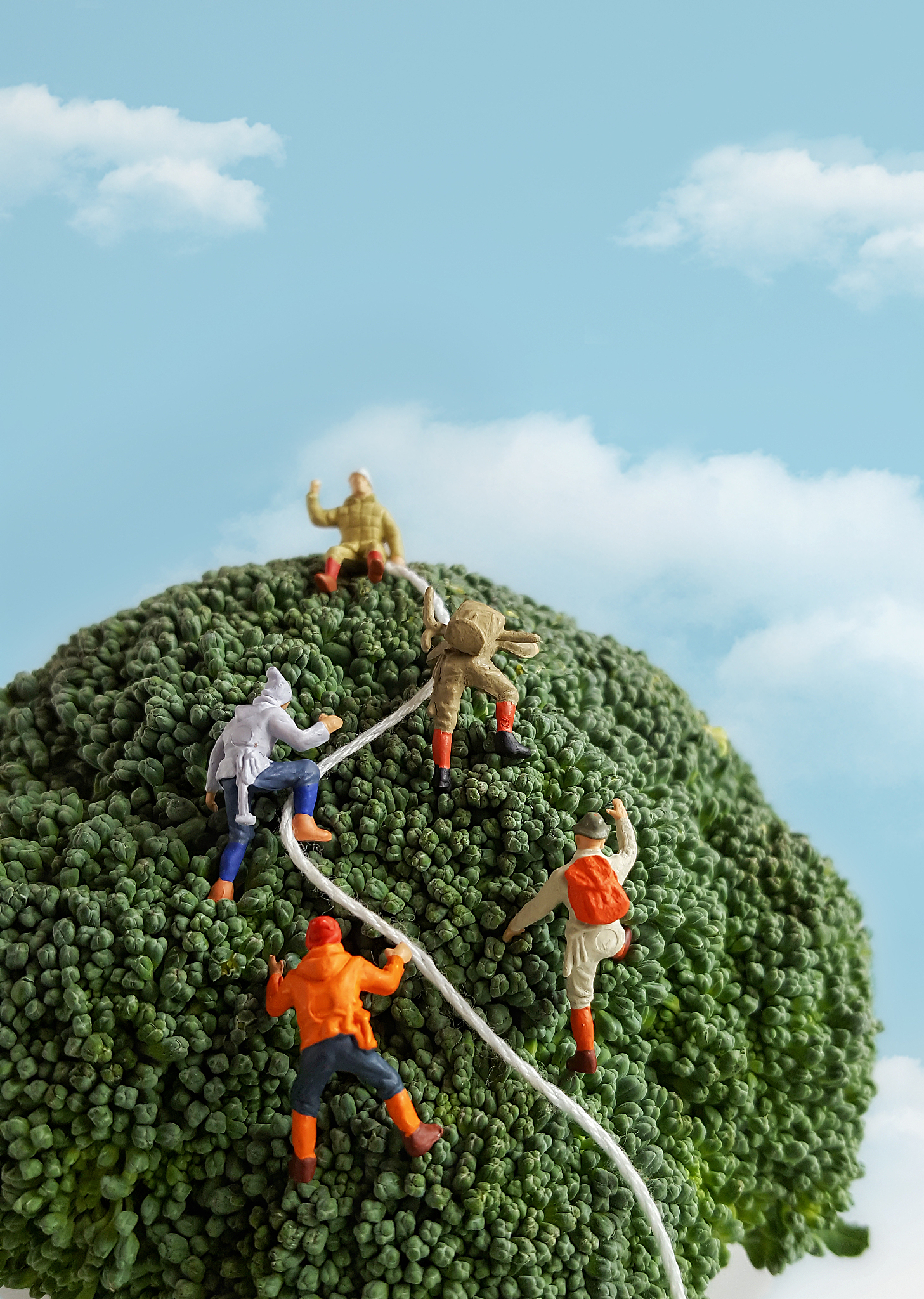 请制作小学运动会口号