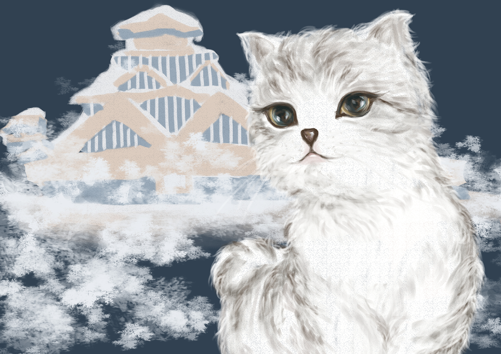 <strong>猫</strong>咪