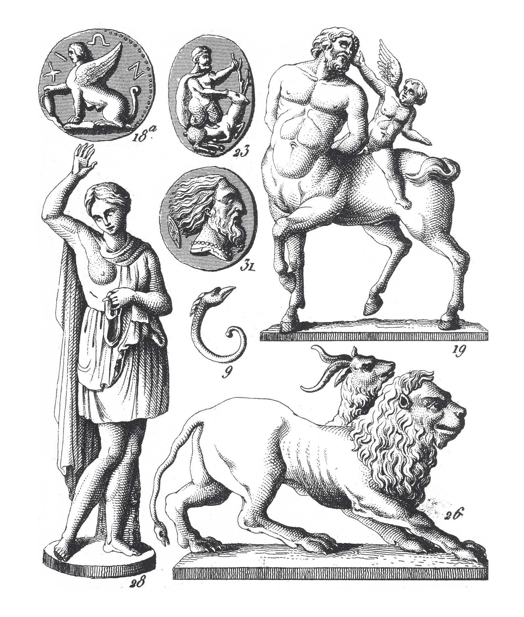 象人族：传说中的象人，拥有象的特征和超凡能力？