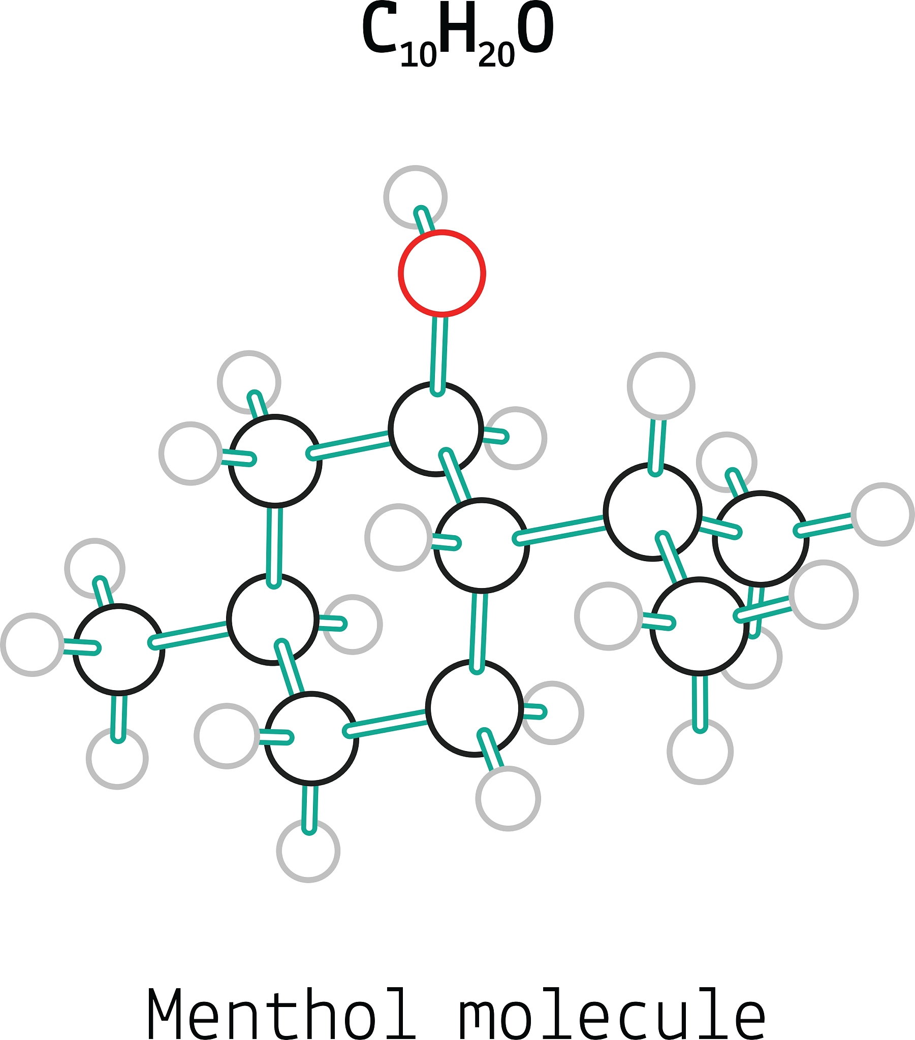 催化剂结构与催化性能的构效关系研究
