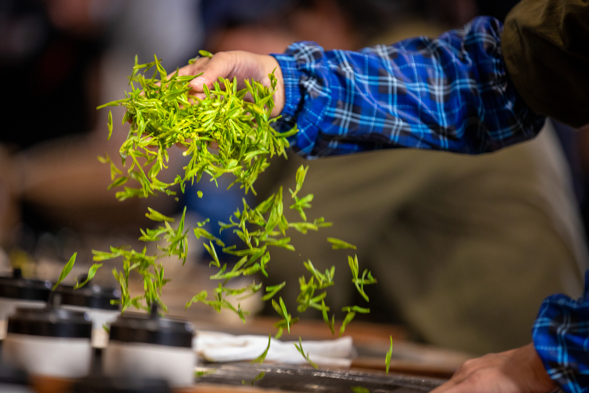 做白茶的创作方向