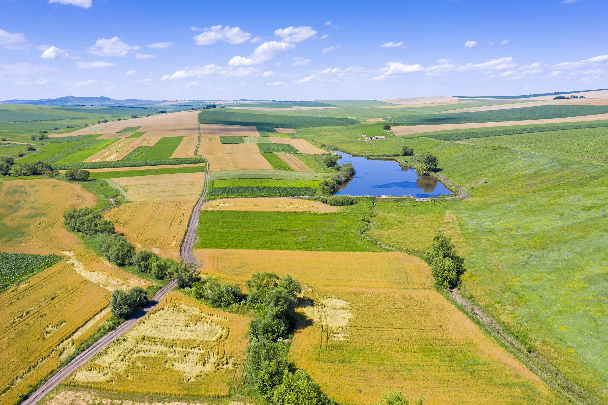 rural farm scene from above in summer