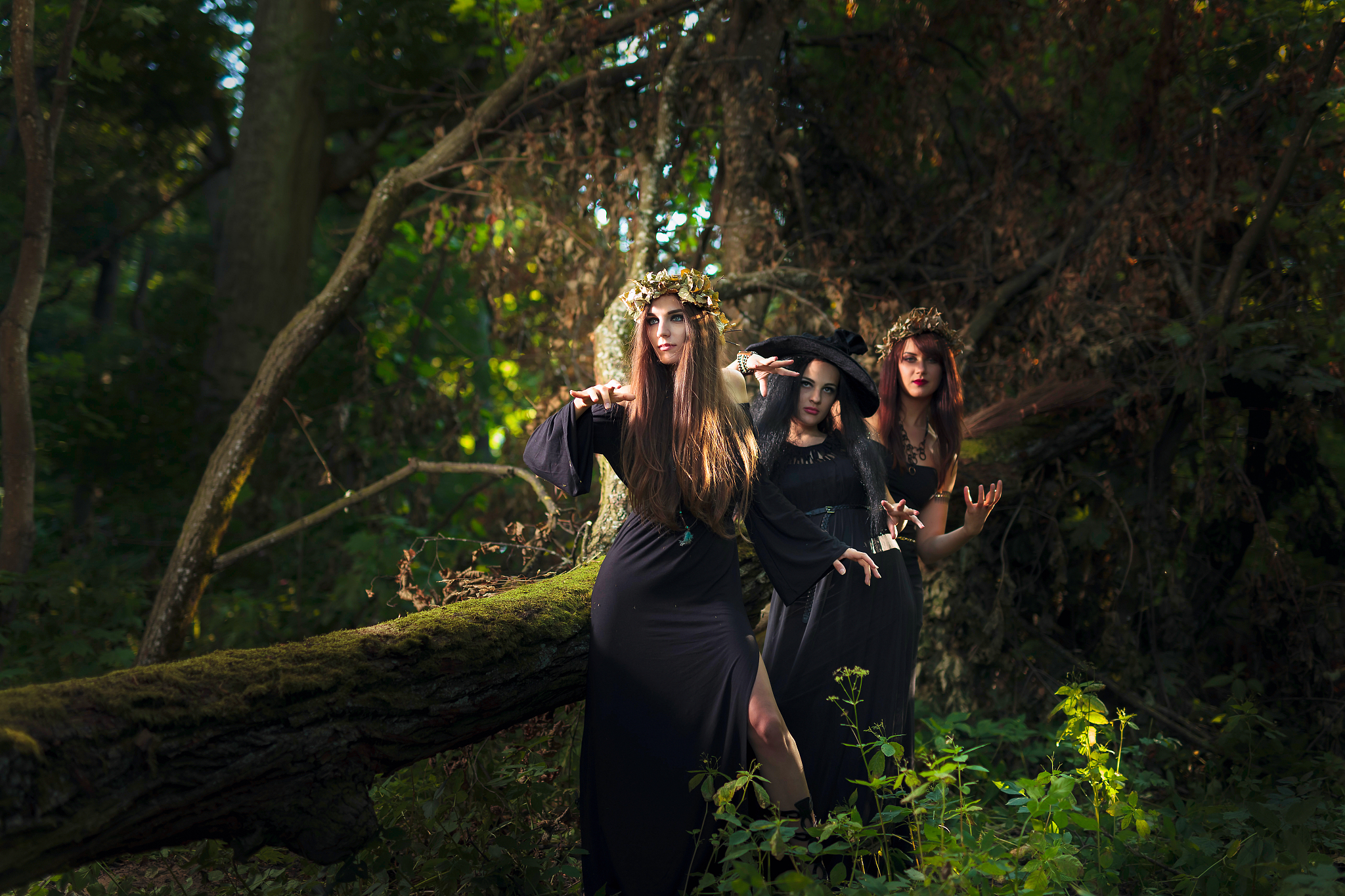 微博文案森林女巫