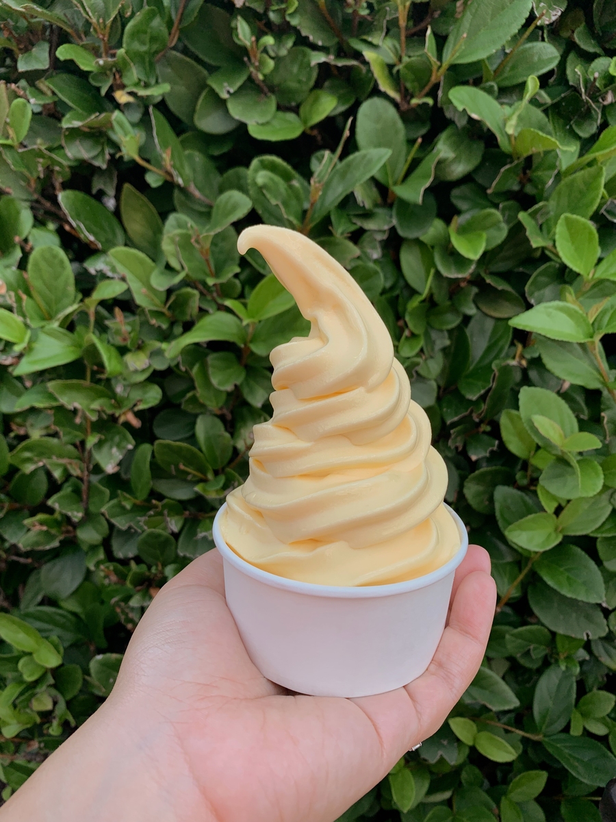 意式牛奶冰淇淋质量感官评价