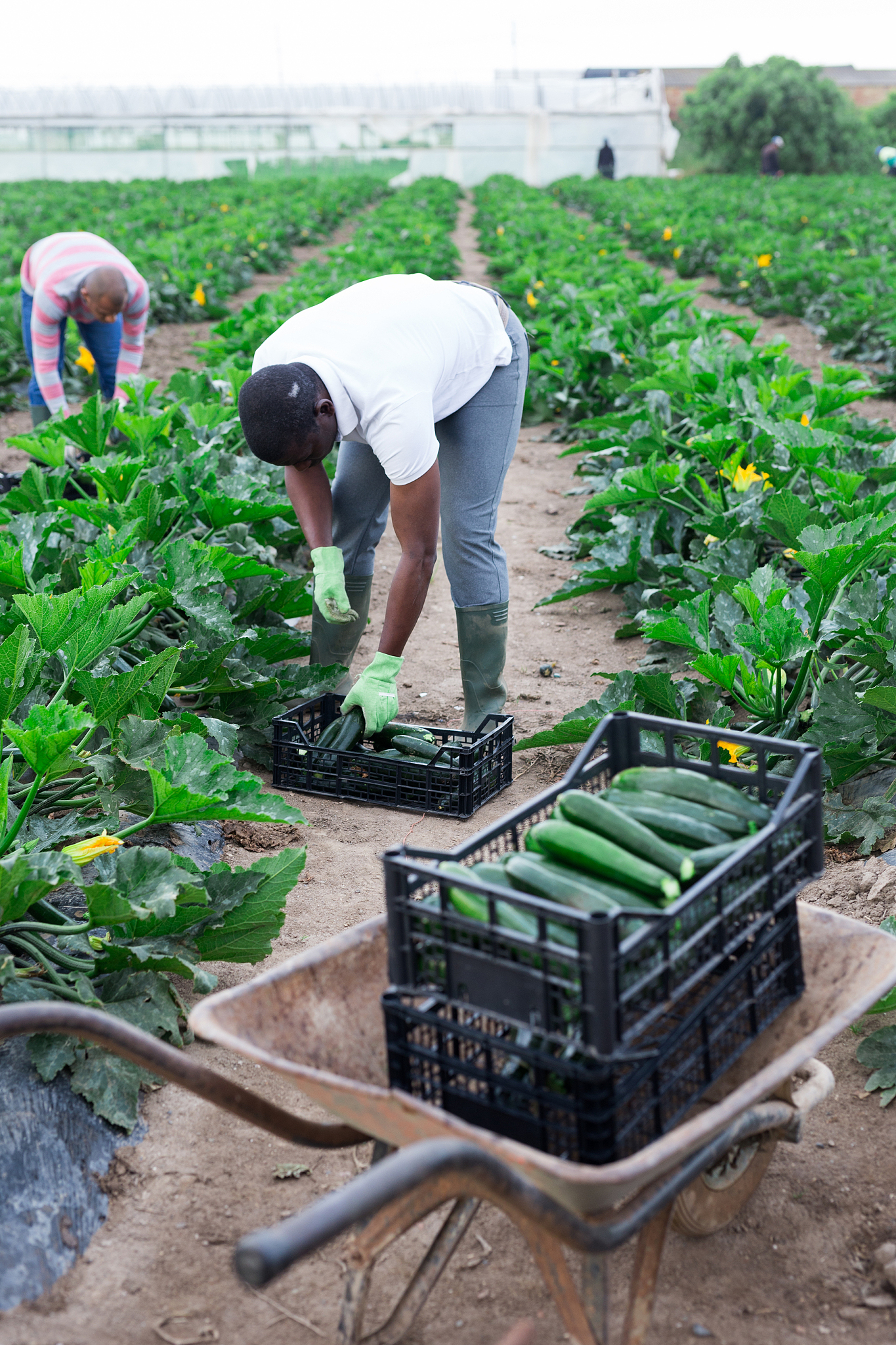 玉溪农业职业技术学院测绘工程技术专业怎么样