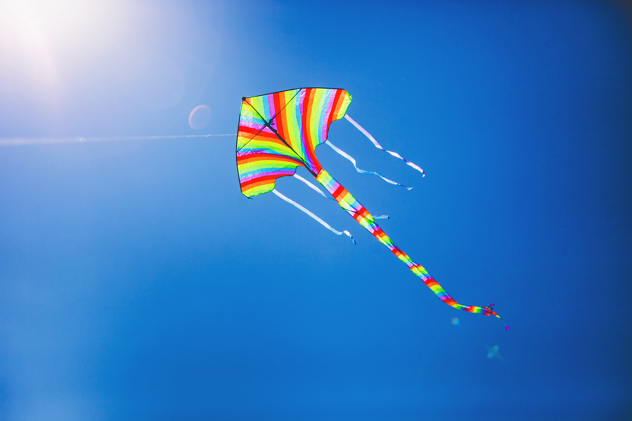 striped kite