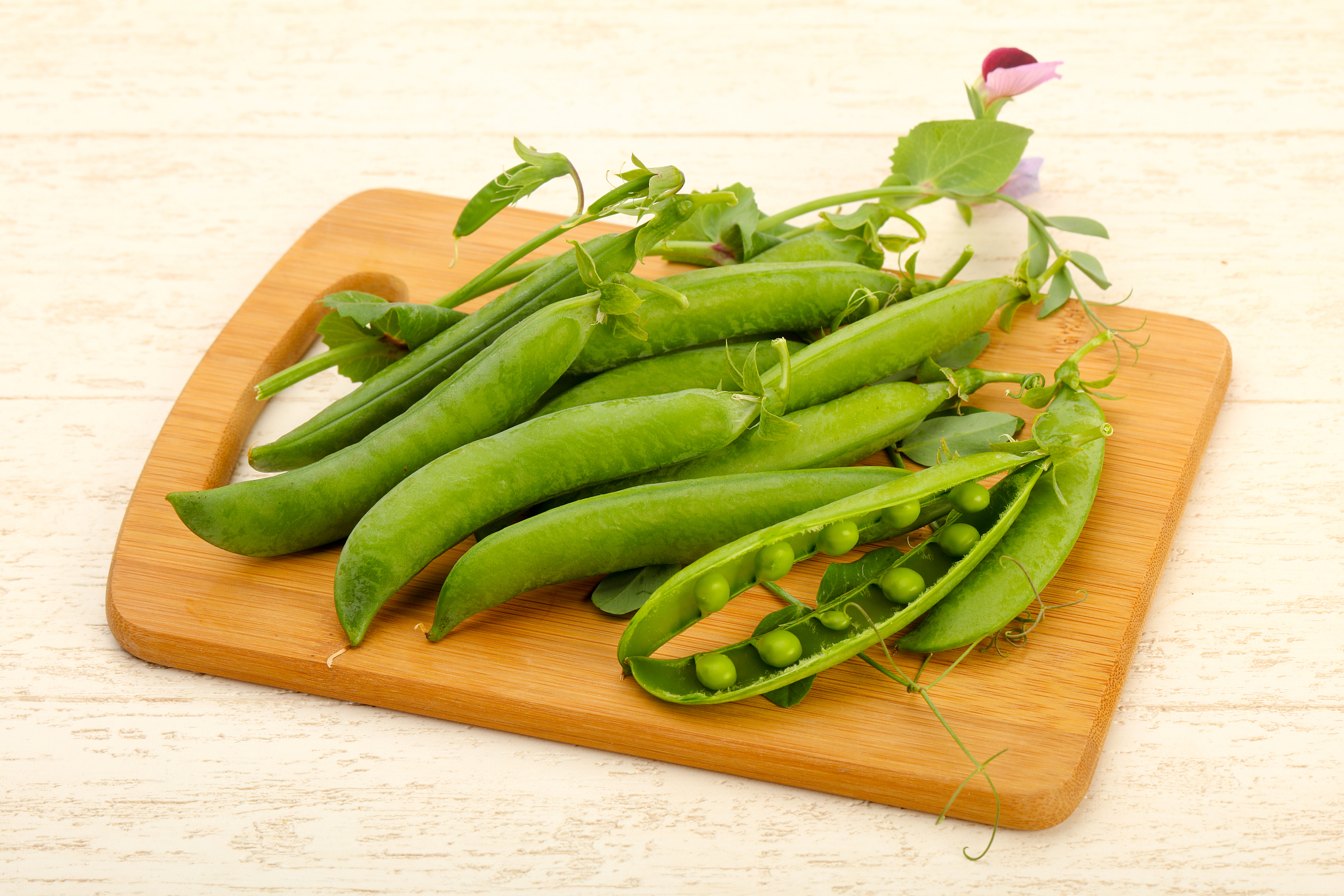 抚顺市农业特产学校2022年就业怎么样？