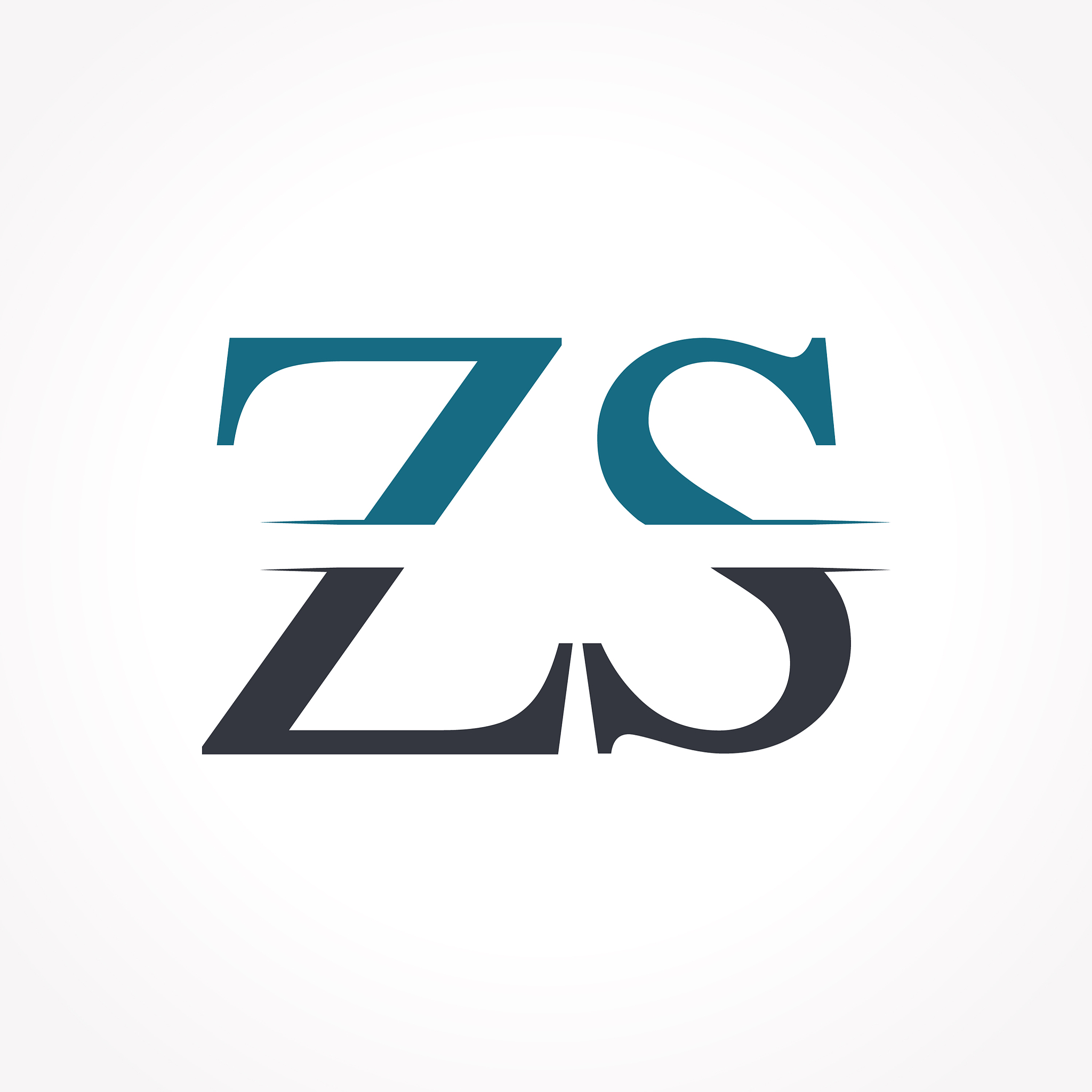 initial zs logo design template creative letter