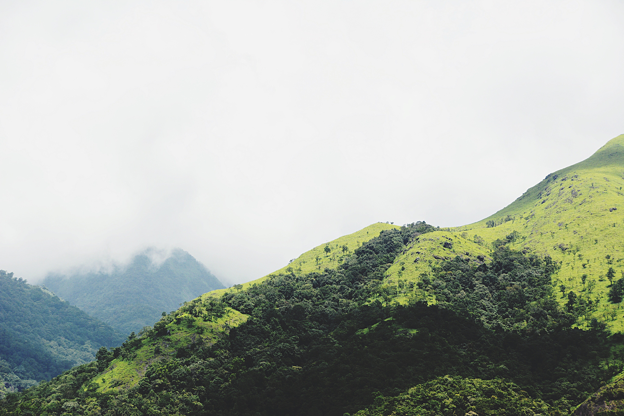 蒙蒙细雨：洗涤心灵的清新