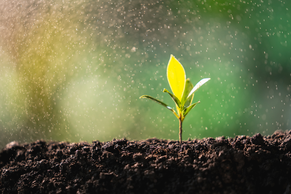 Journal of Soil Science and Plant Nutrition 期刊：土壤学和植物营养领域权威期刊