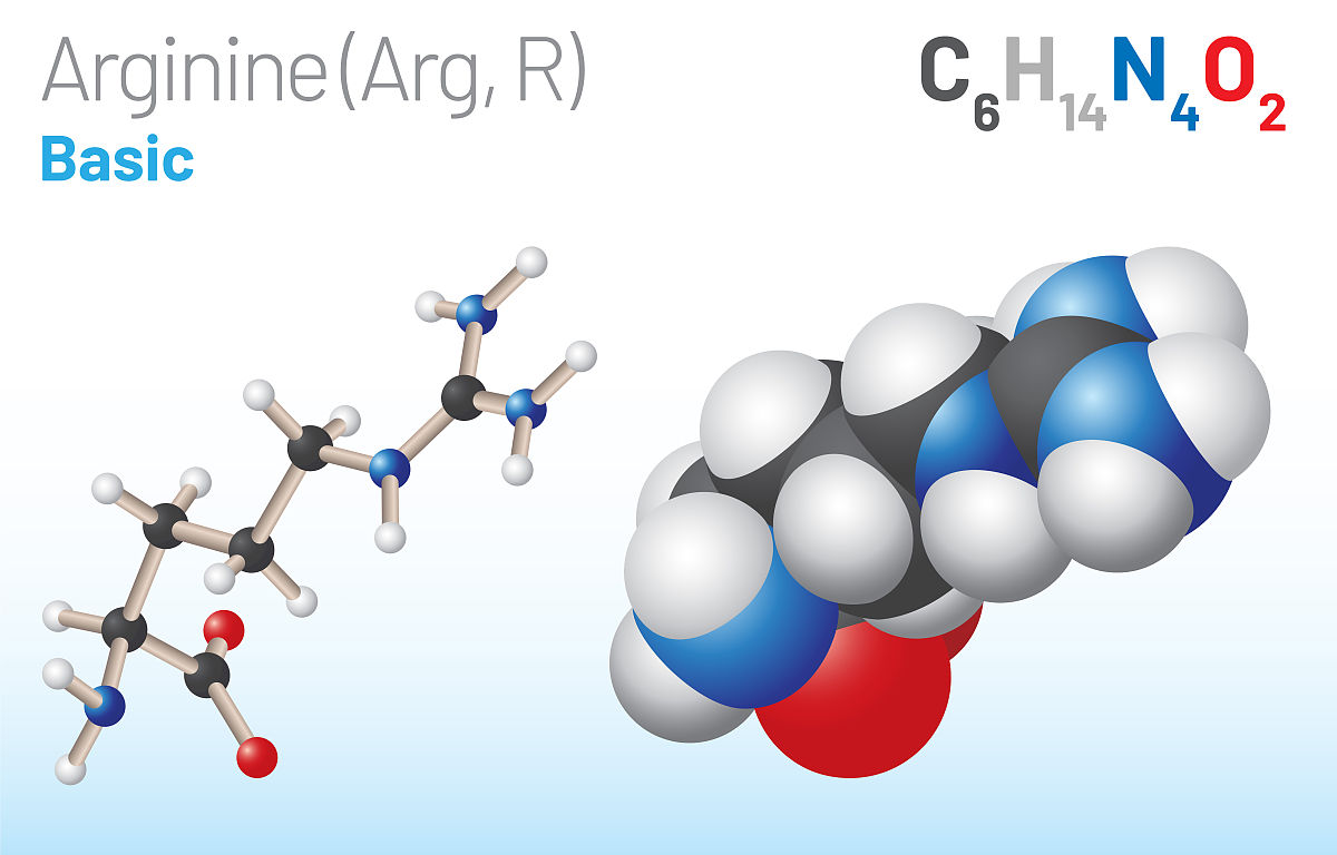 精氨酸：多种功能的氨基酸，在健康和疾病中发挥重要作用