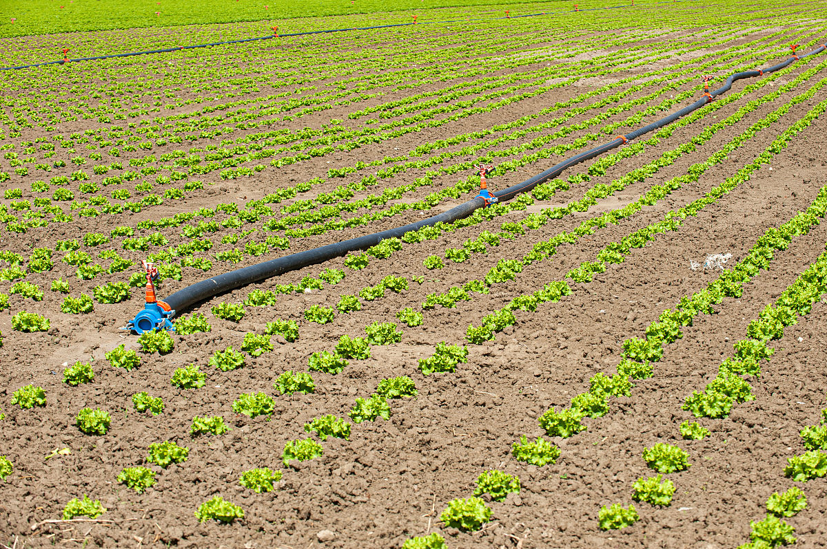 农田水利工程中高效节水灌溉技术应用中合理选择高效节水灌溉技术的方法