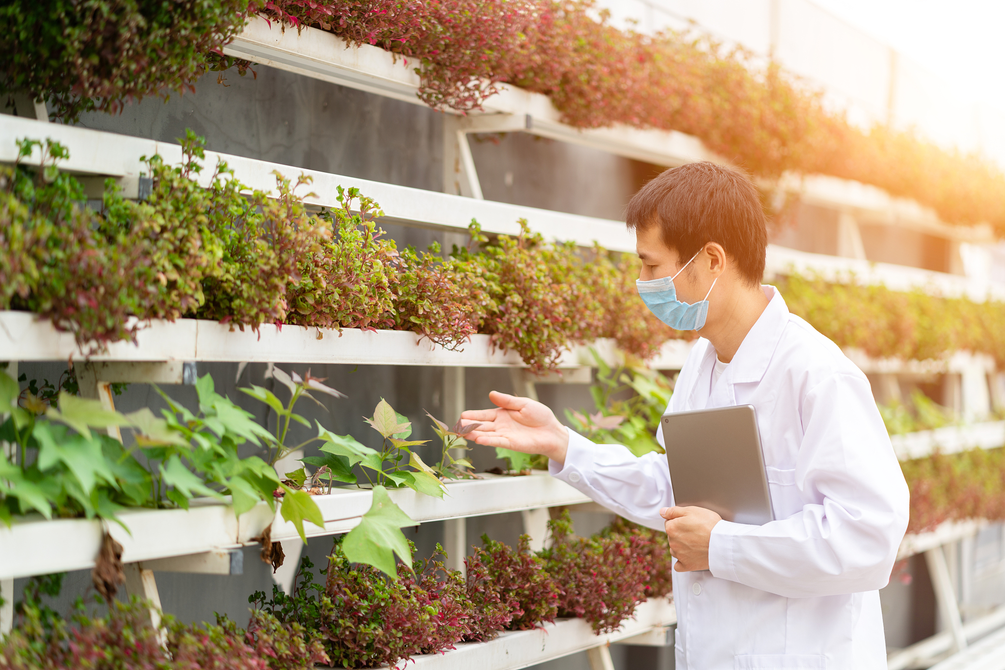 昆明市农业学校2019年五年制招生 - 培养农业领域杰出人才