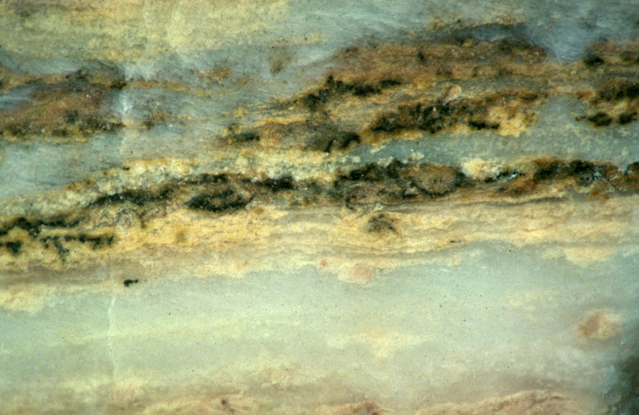 福建华南女子职业学院美术教育专业优势怎么样发展前景好不好呢