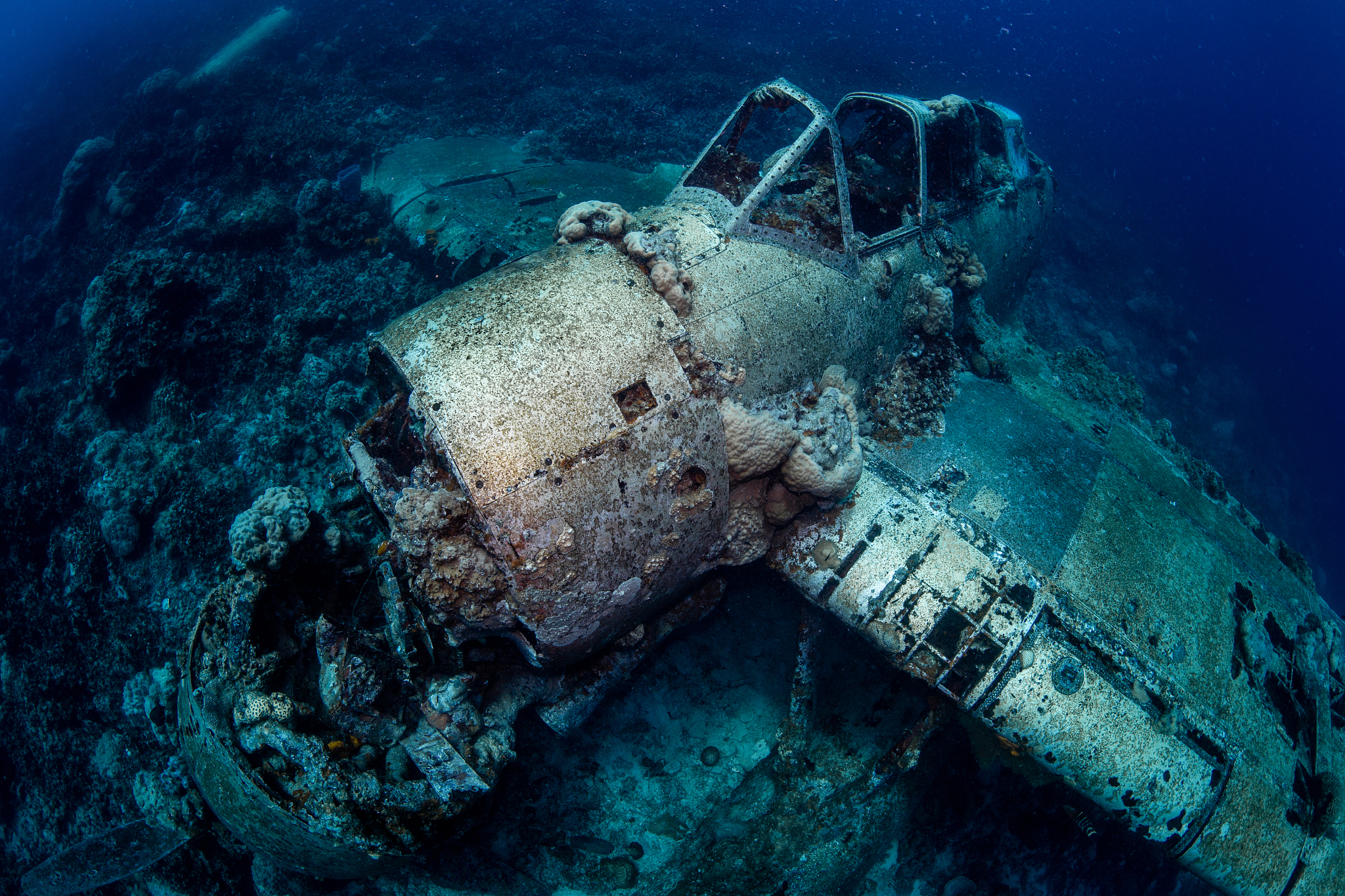 水下机器人：探索海洋、守护未来的科技先锋
