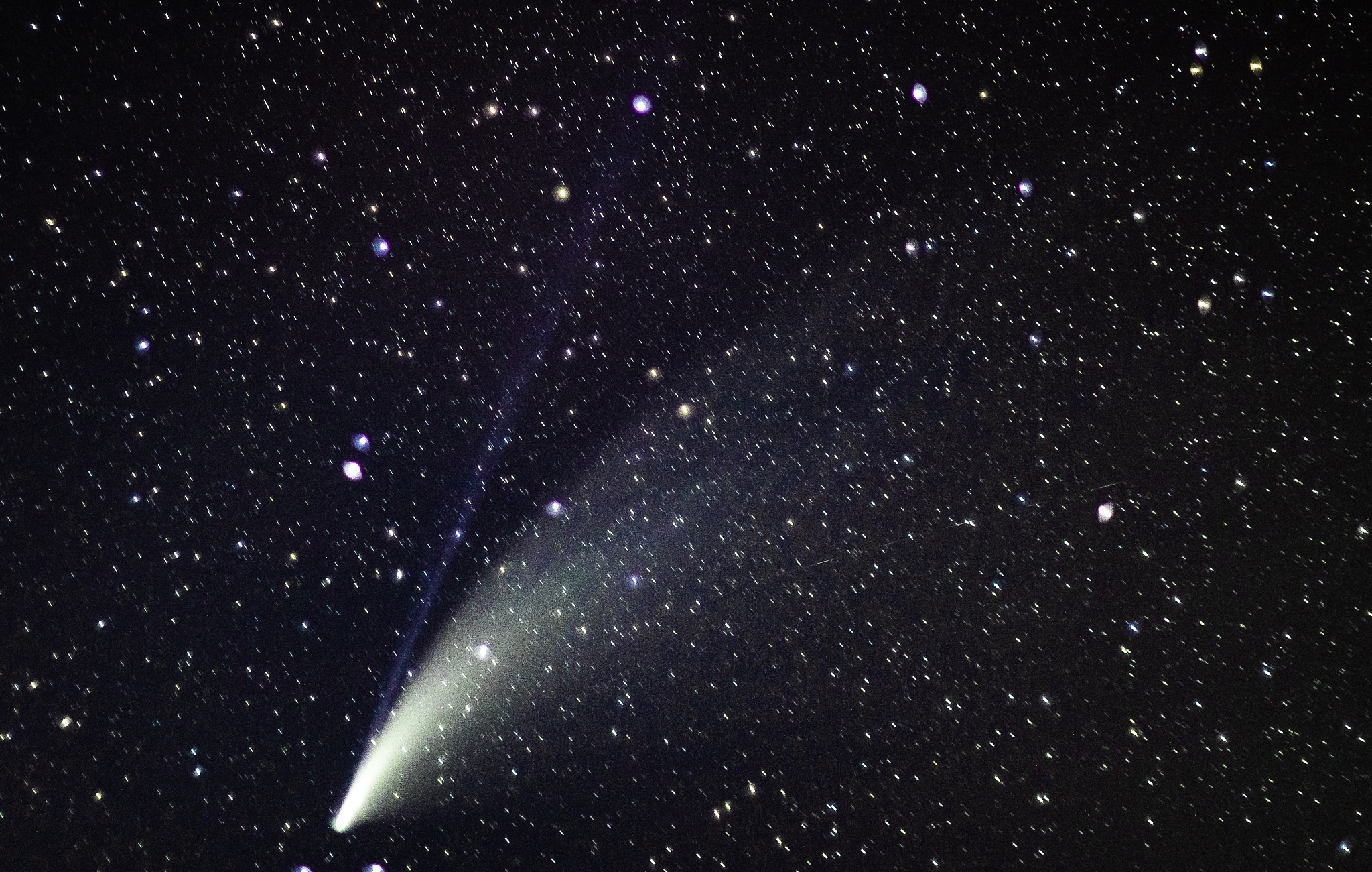 neowise comet