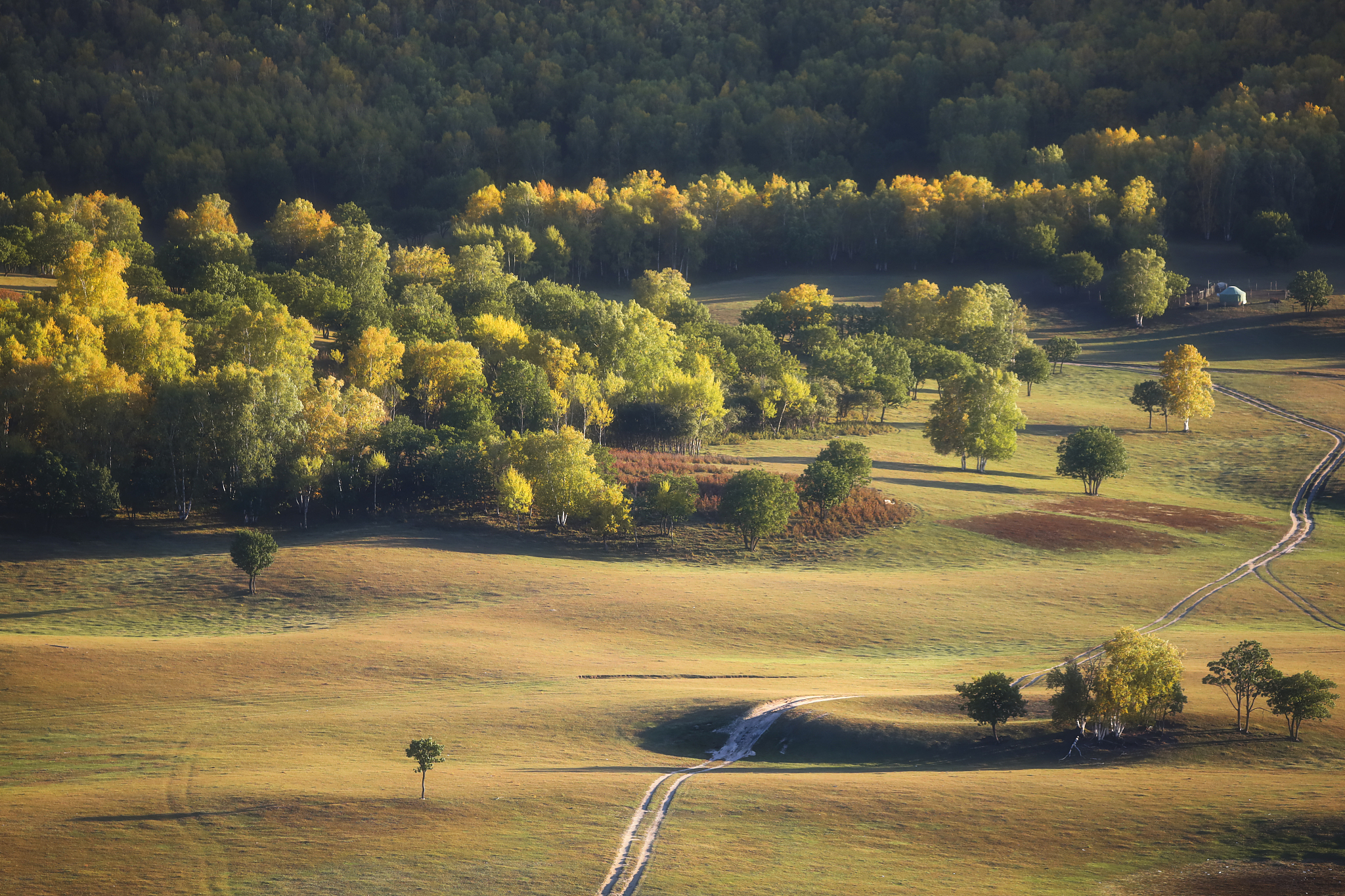 请用100字描述一下草原村庄炊烟袅袅白桦层林浸染的秋日禾木美景