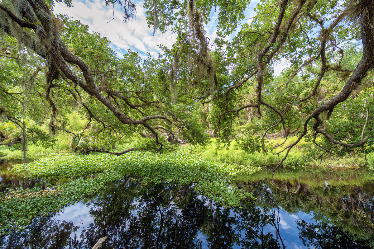 亚热带湿润气候主要分布区域