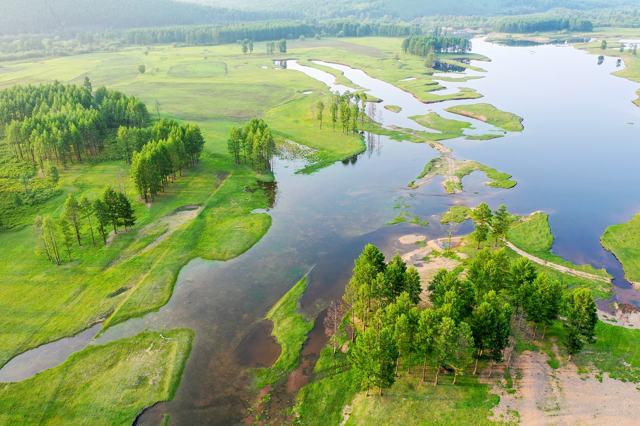 照生态环境的受人为影响的程度，划分为那三类？