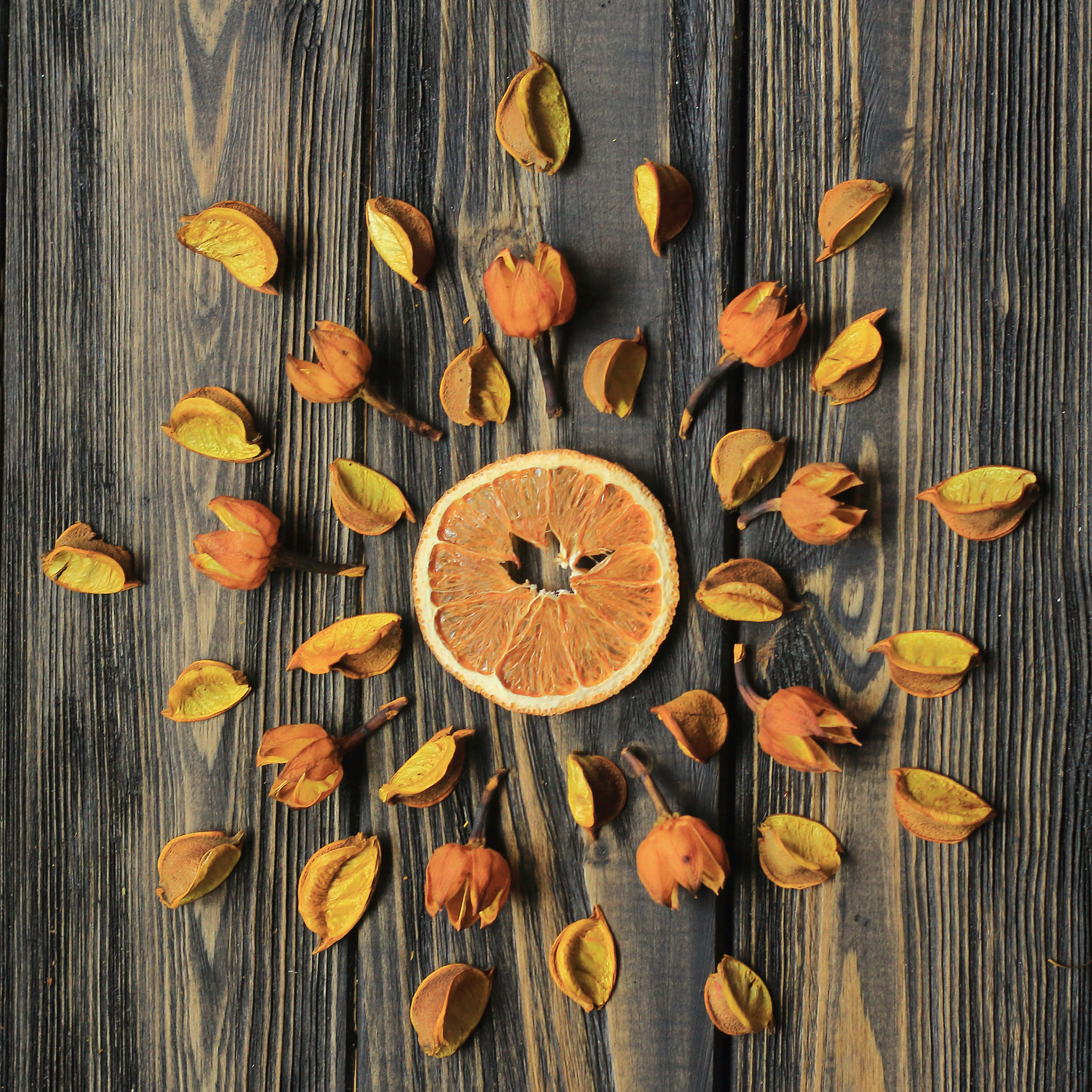 撰写参加从经济全球化看19世纪中国危机：以茶叶和鸦片贸易为例讲座的心得感悟和学习收获要求1500字