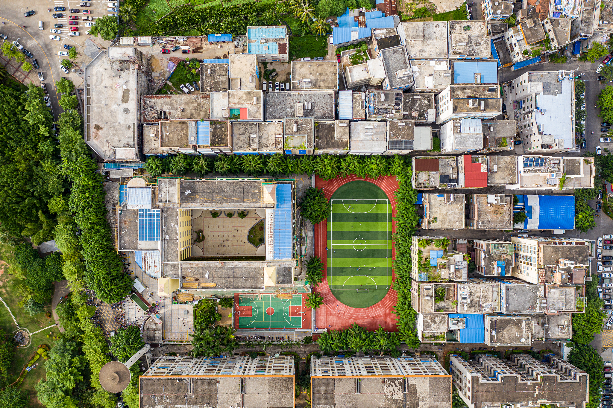 海南省海口市美兰区美苑小学语文教学见习：观摩课程经验总结