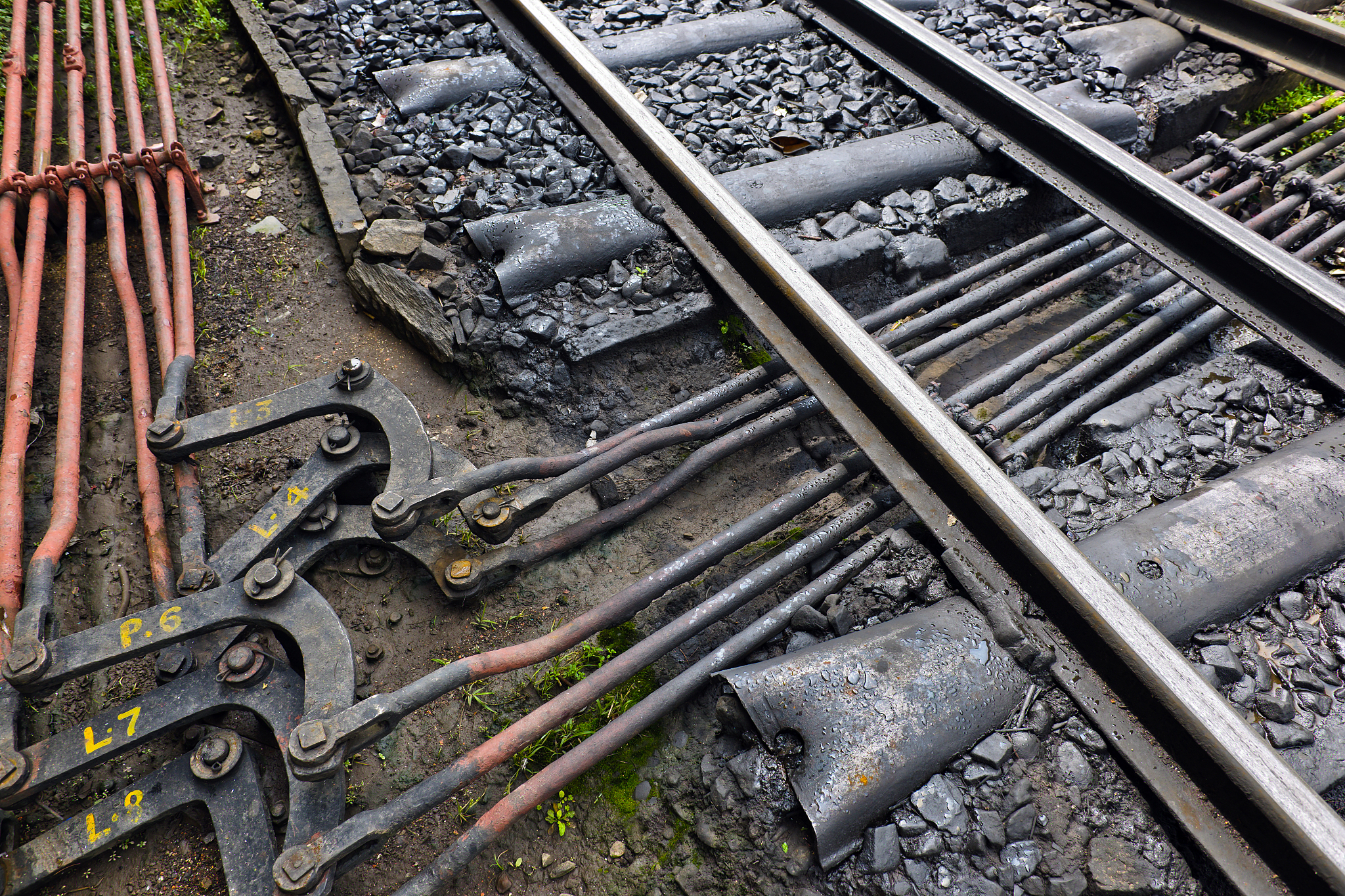 印度铁路招标通用说明：投标人须知及流程