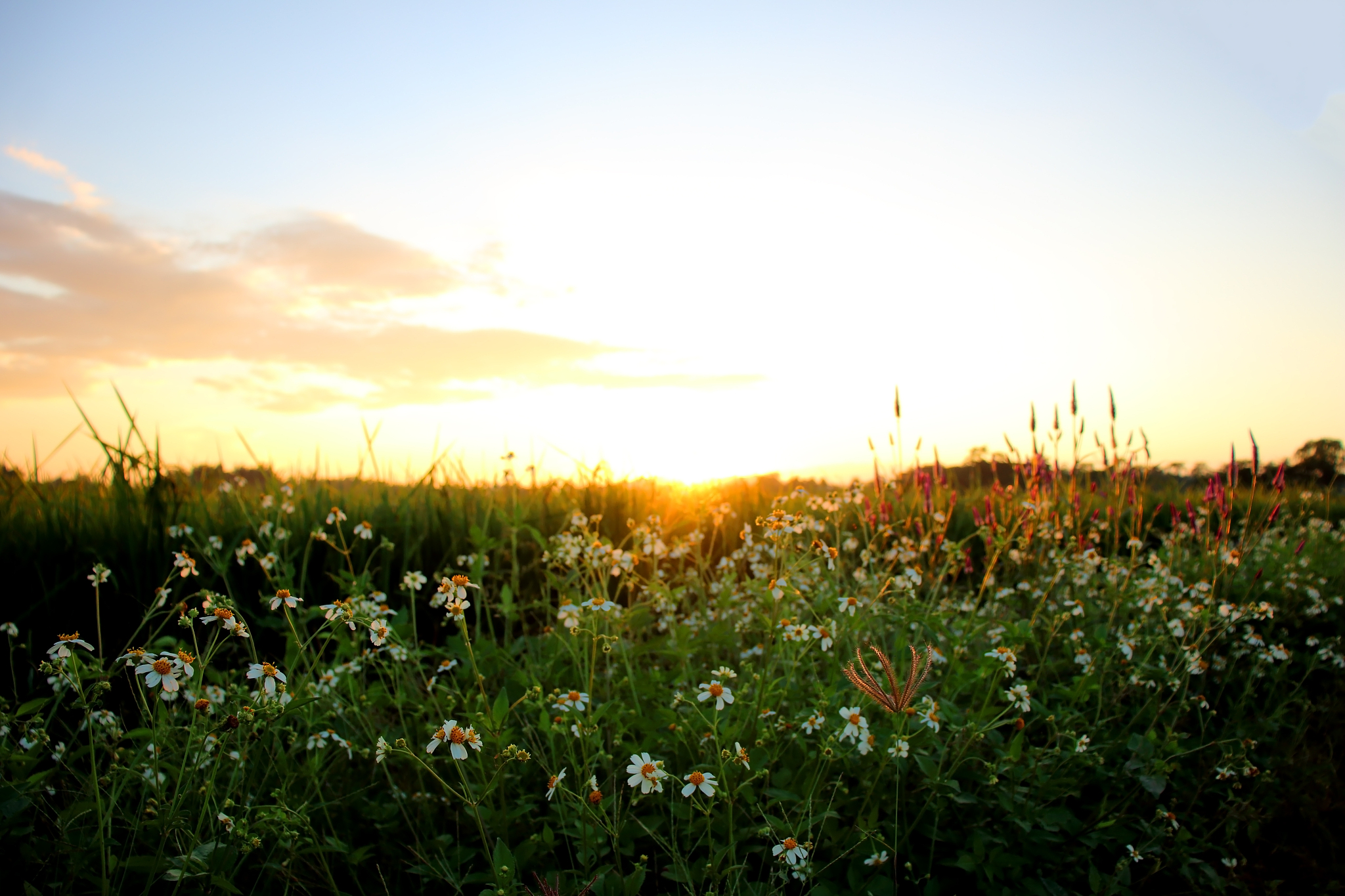 河南农业职业学院酒店管理专业怎么样