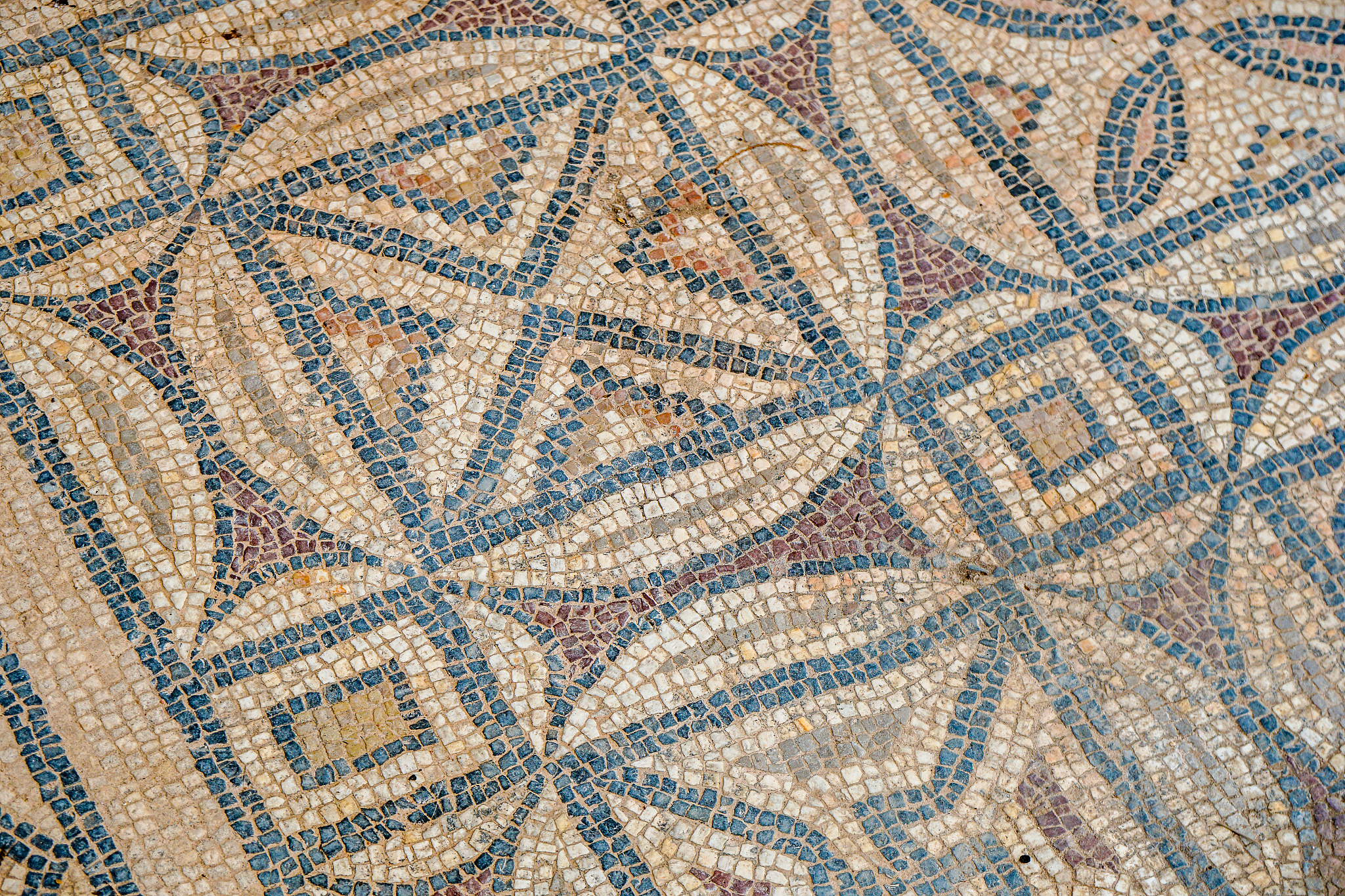 Monochronic vs. Polychronic Cultures: Understanding Time Management Differences