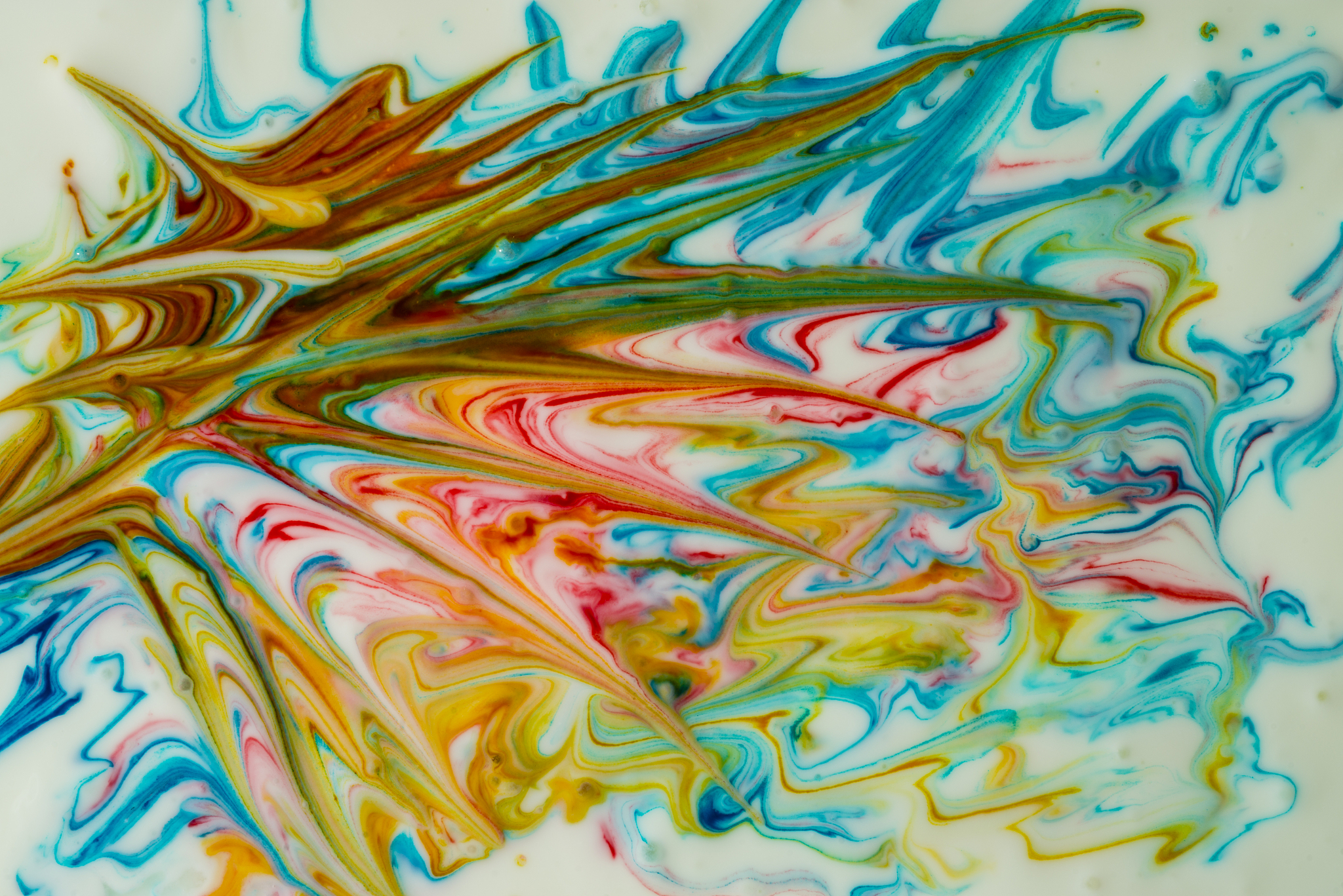 乐多主播，才华迷人