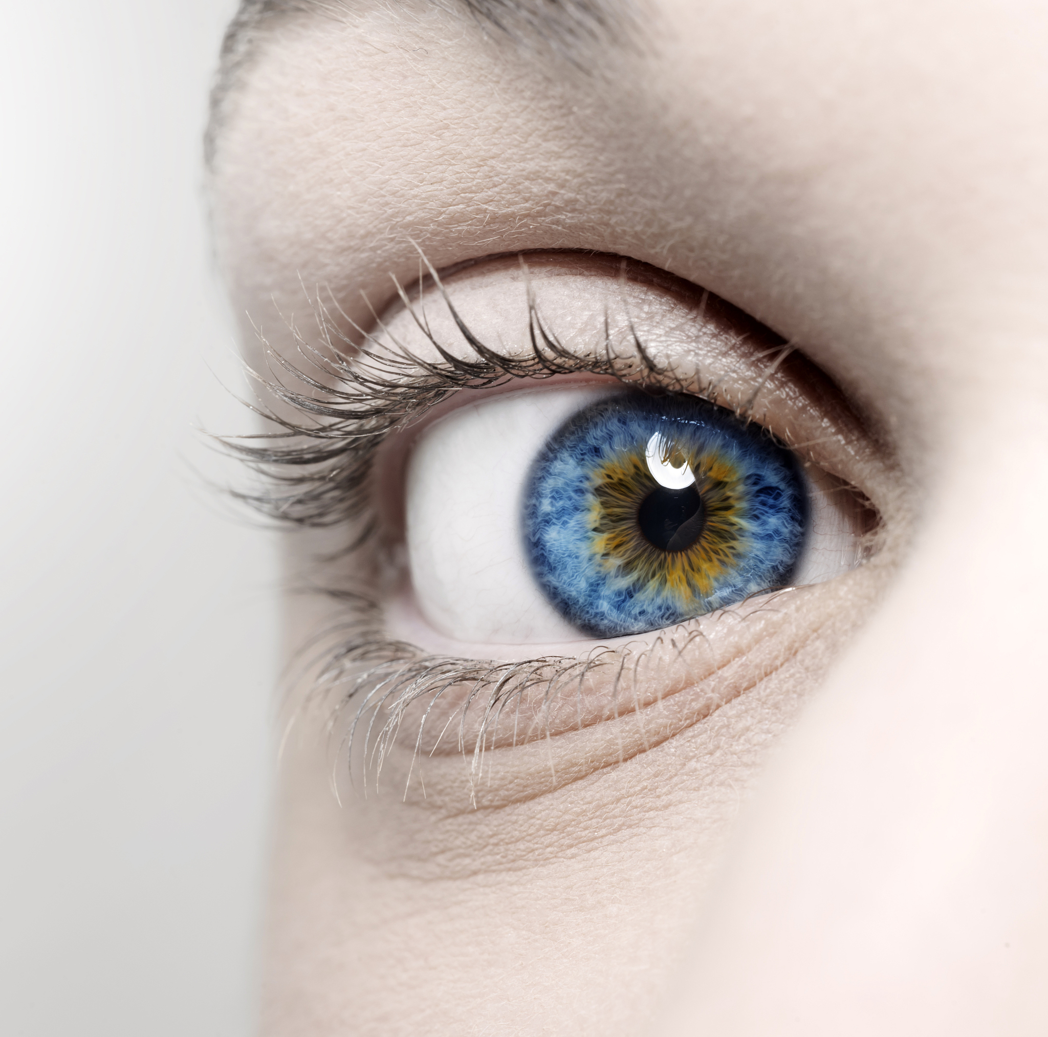 blue and yellow eye