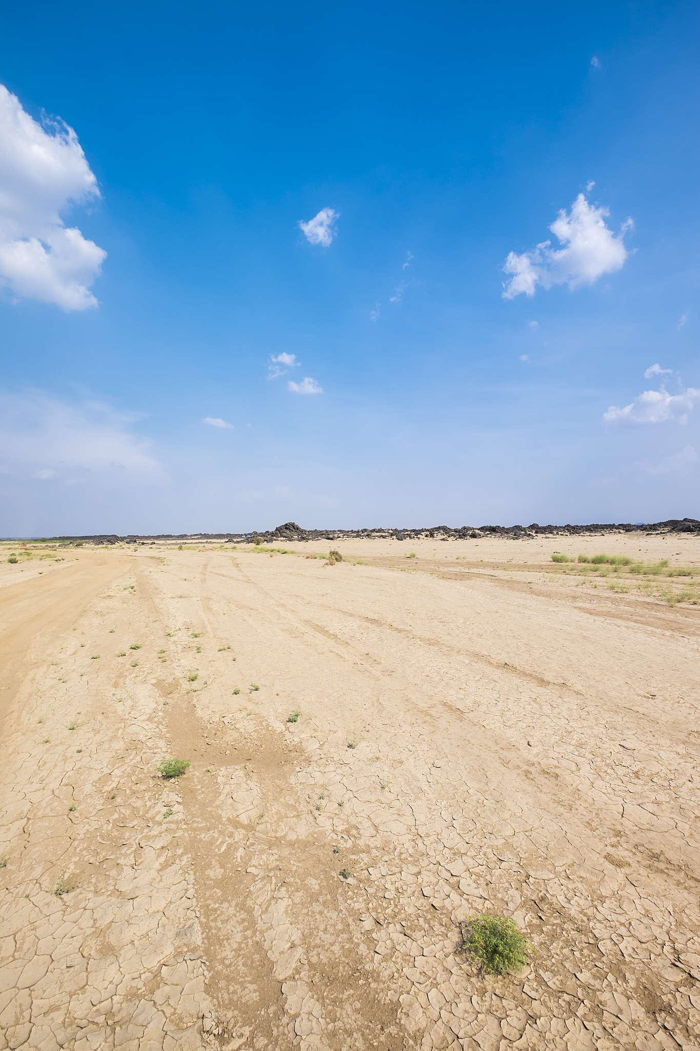 landscape of a desert