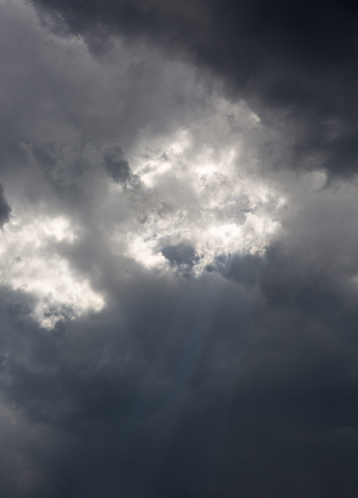 北京、西安、上海7月8月哪个城市更热？